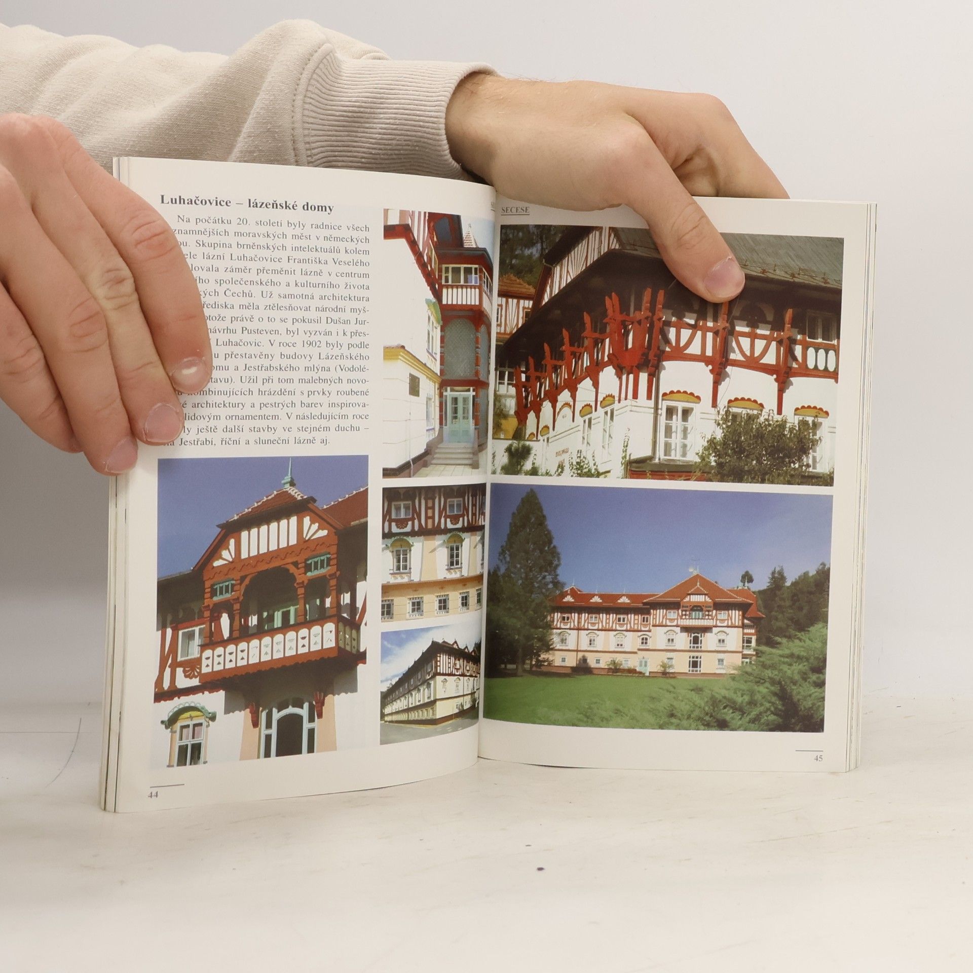 Petr Dvořáček Architektura českých zemí. Secese