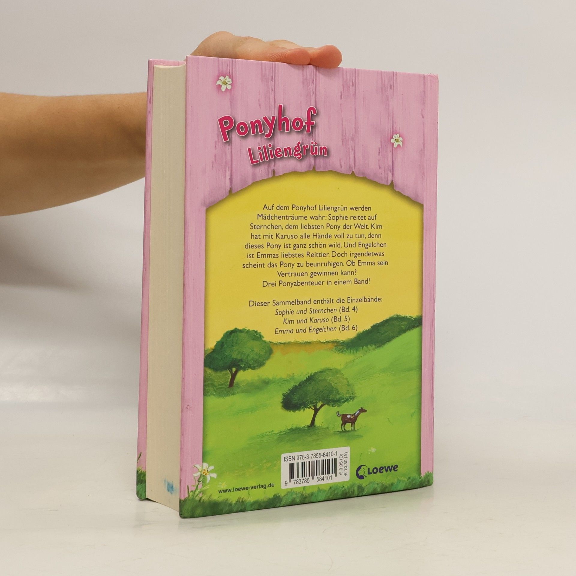 Kelly McKain Ponyhof Liliengrün – mein Sommer mit Traumpony