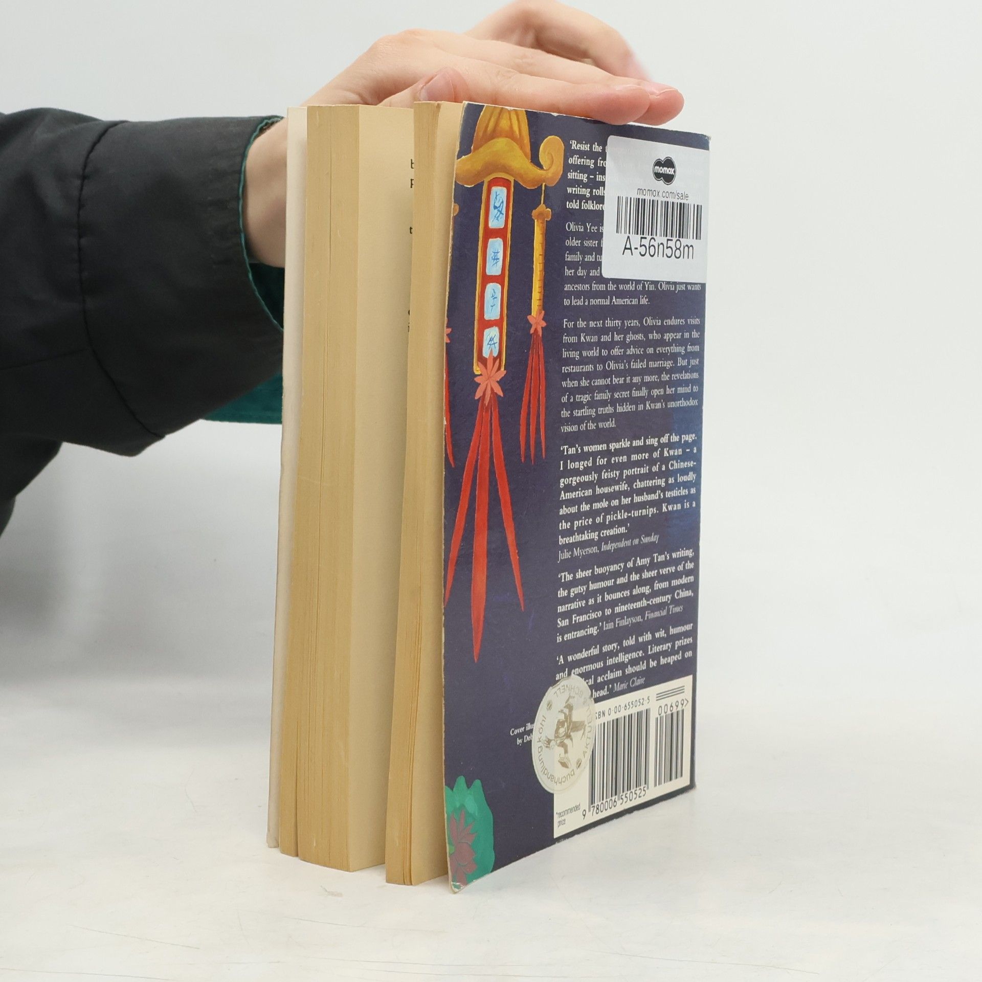 Amy Tan The Hundred Secret Senses