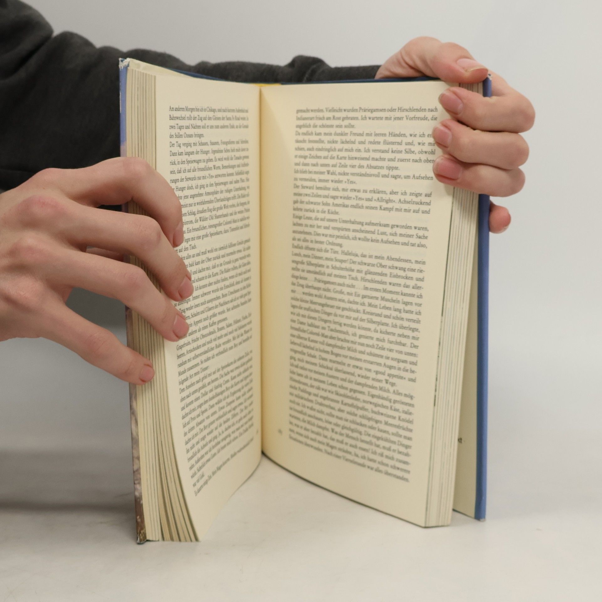 Carl Zuckmayer Das grosse Luis Trenker Buch
