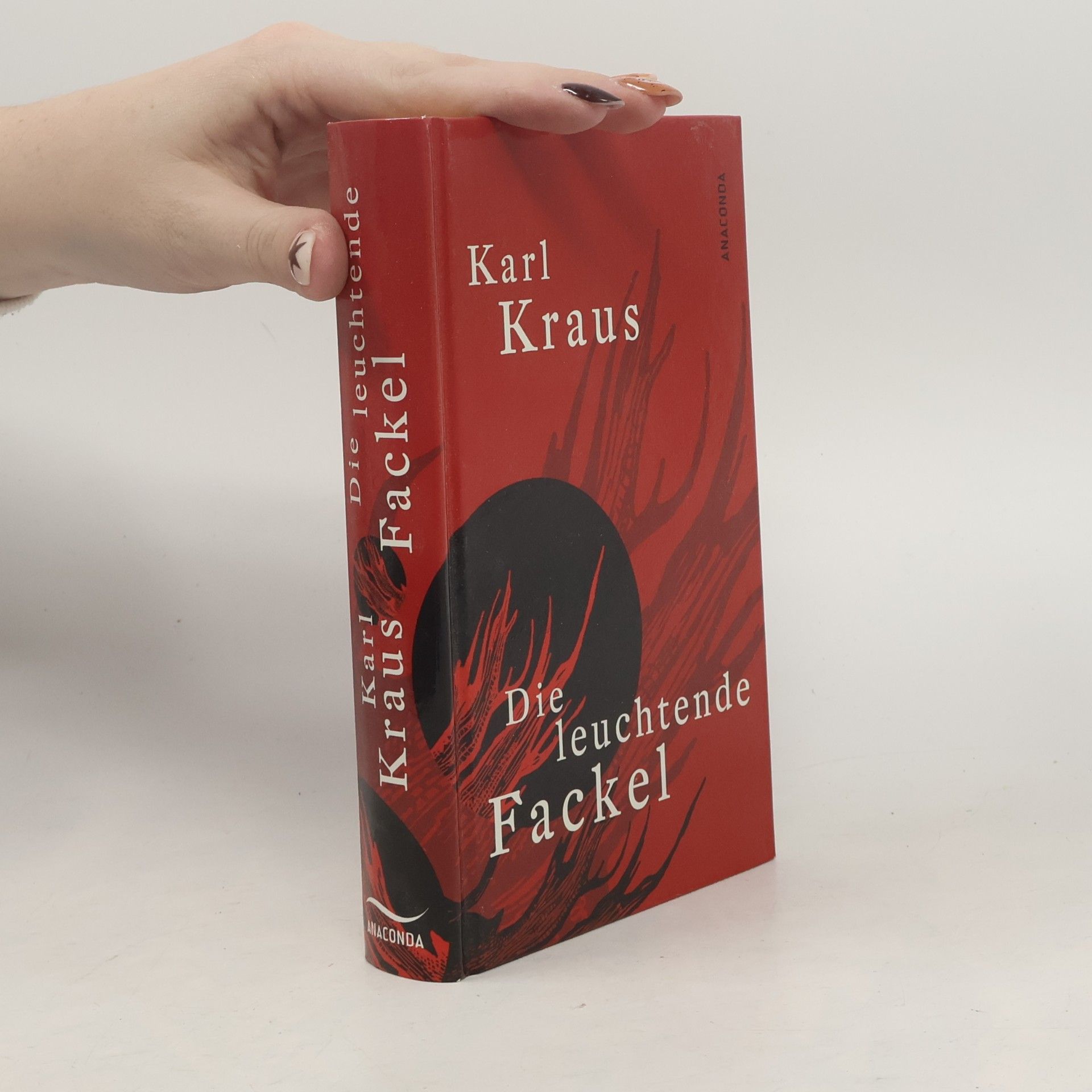 Die leuchtende Fackel