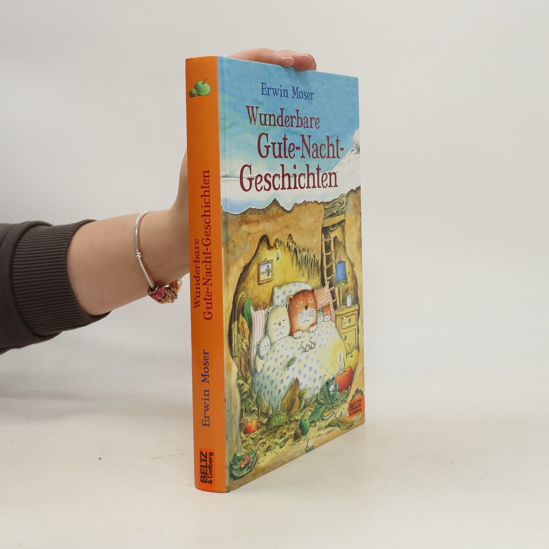 Wunderbare Gute-Nacht-Geschichten