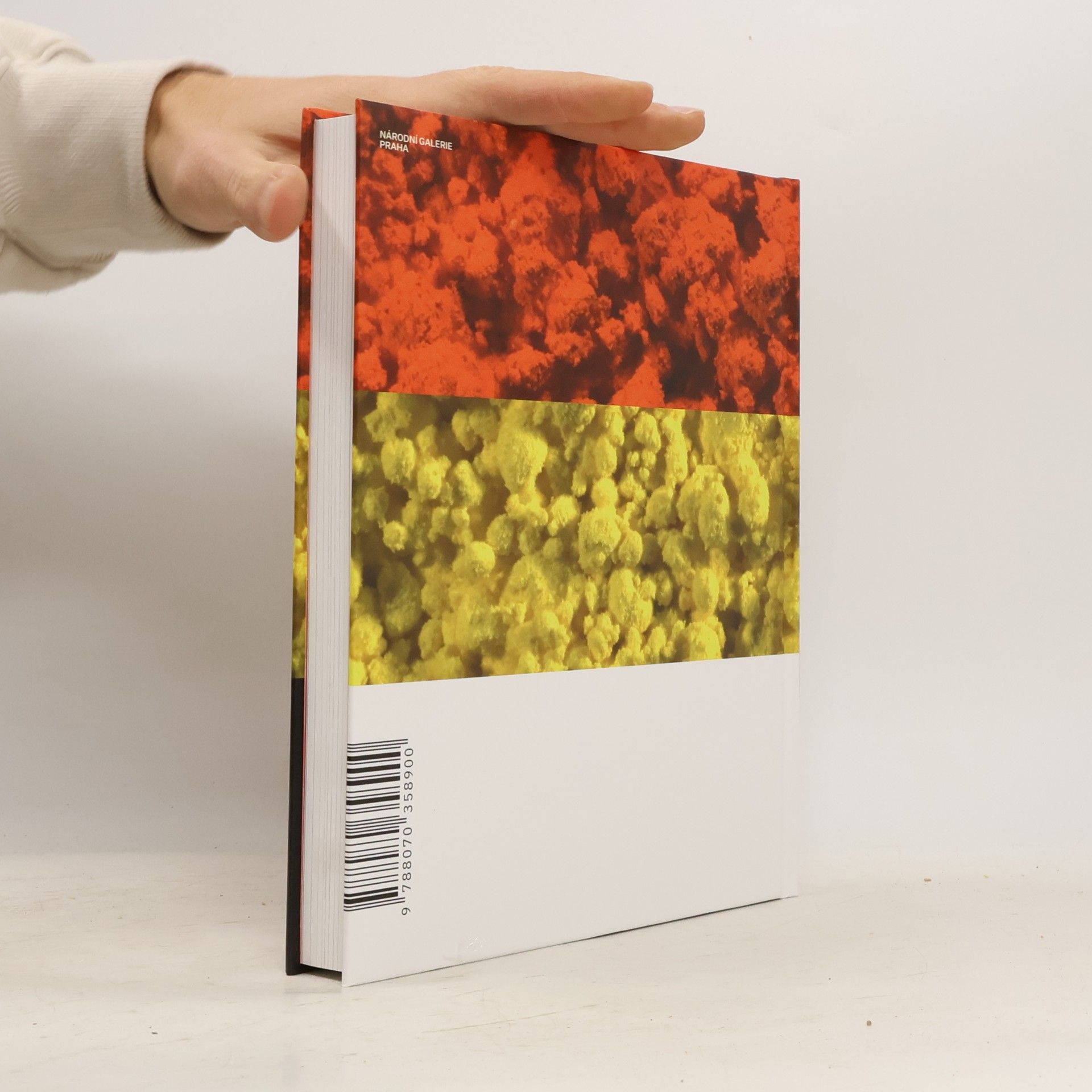 Various authors Pigmenty. Užití, vlastnosti a identifikace. 2. díl