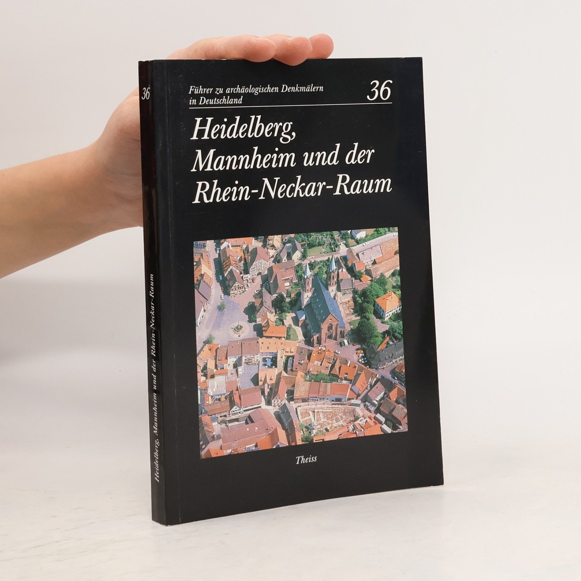 Heidelberg, Mannheim und der Rhein-Neckar-Raum