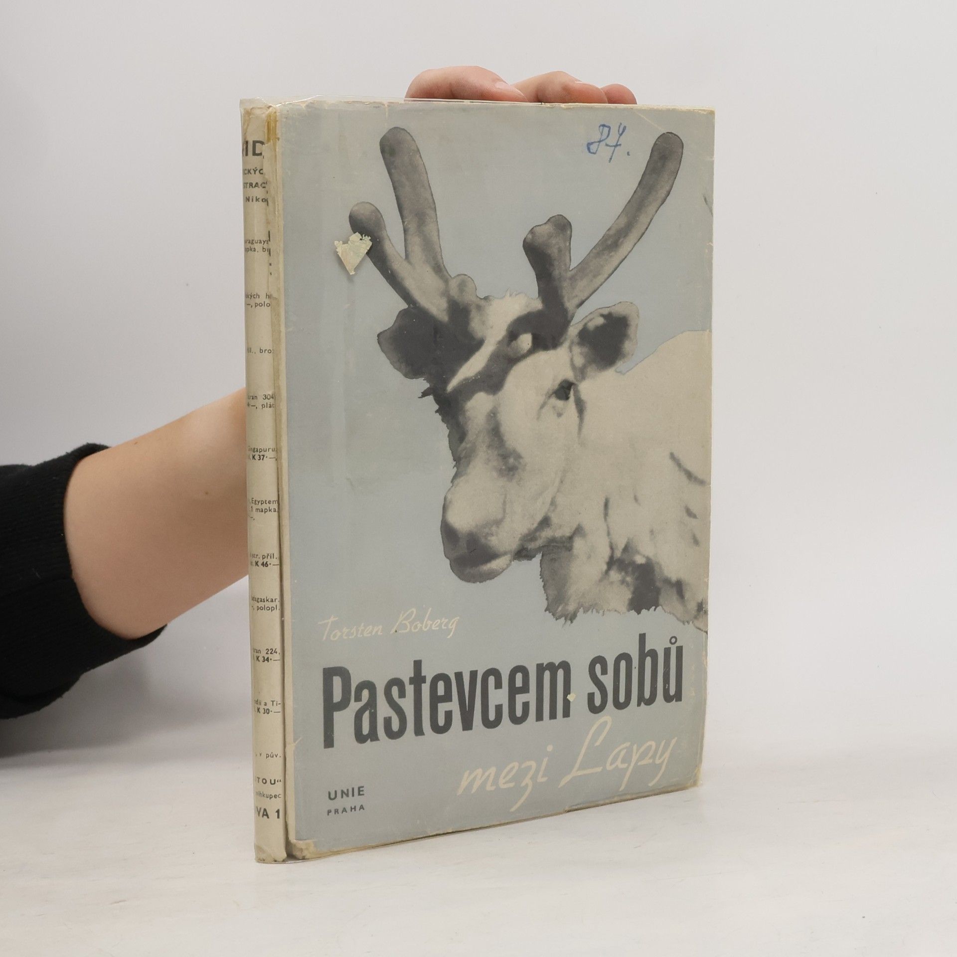 Torsten Boberg Pastevcem sobů mezi Lapy