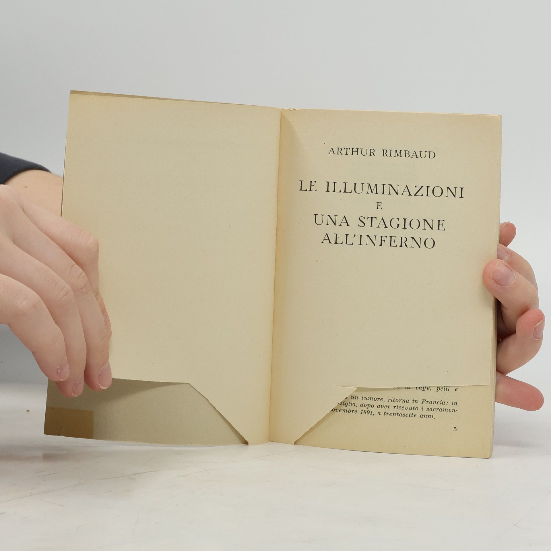 Arthur Rimbaud Le Illuminazioni e Una Stagione all’Inferno