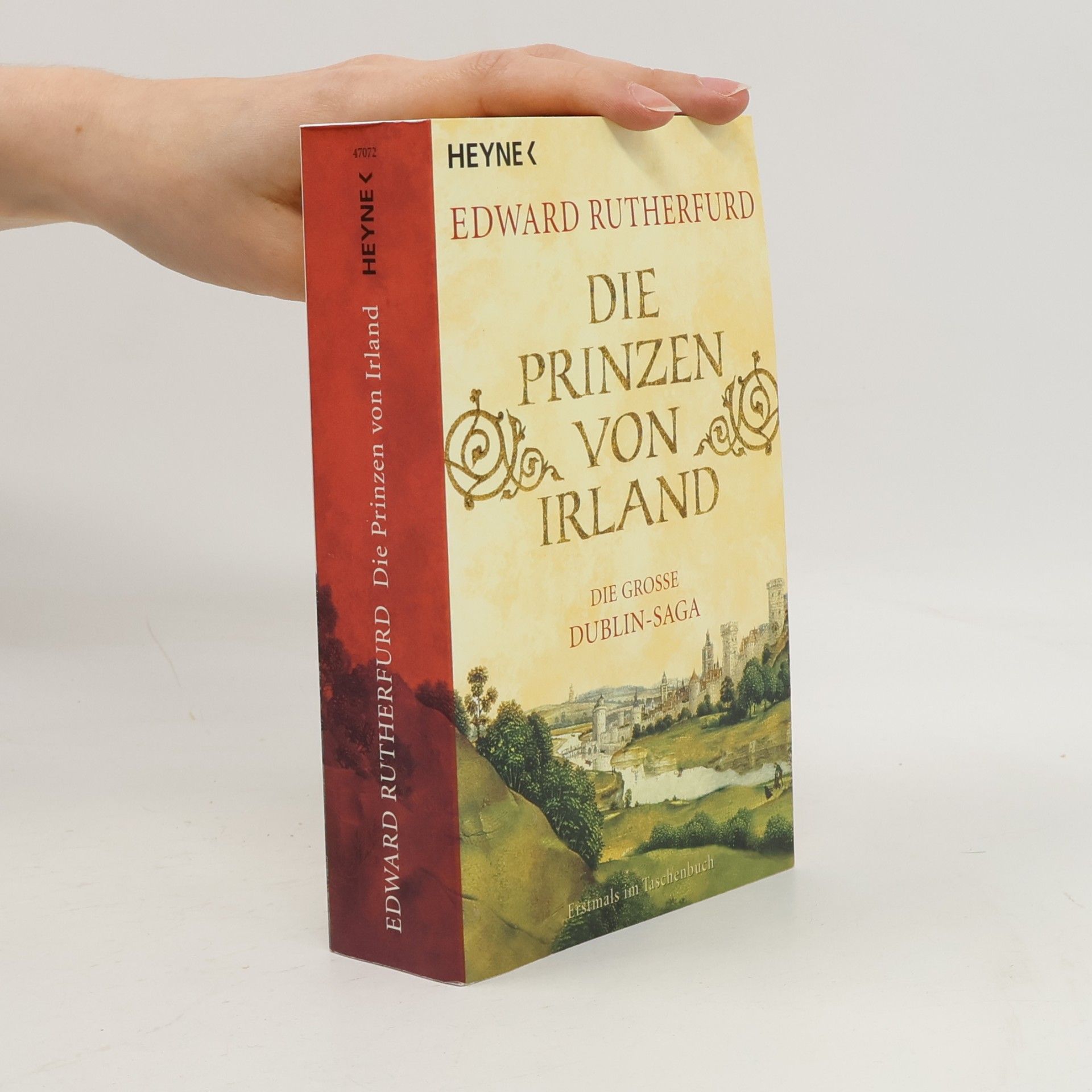 Die große Dublin-Saga. Die Prinzen von Irland