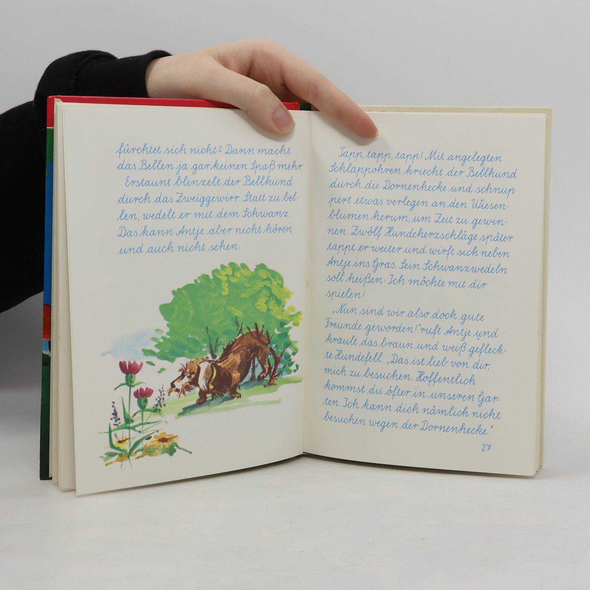 Karl-Heinz Weise Antje im Holunderbaum