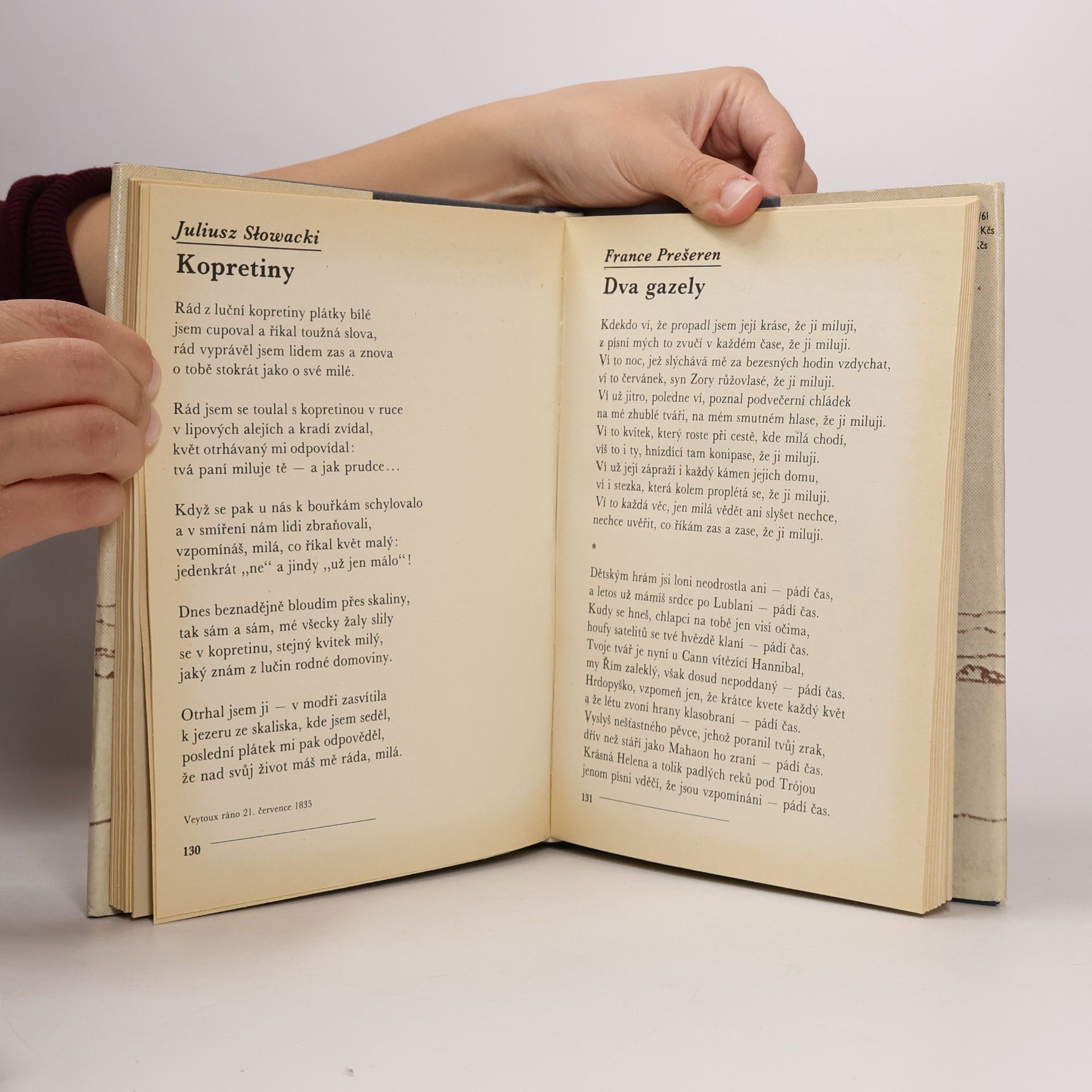 Kolektiv autorů Duhové mosty : výbor ze světové poezie XIX. století
