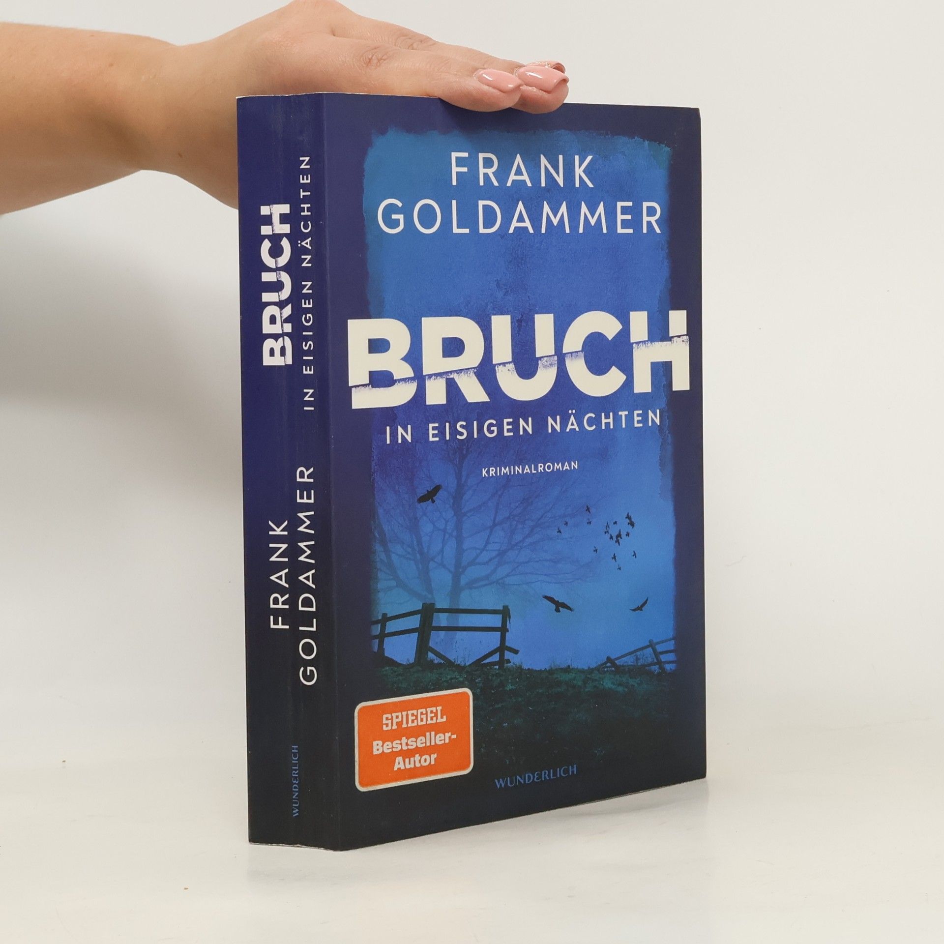 Bruch: In eisigen Nächten