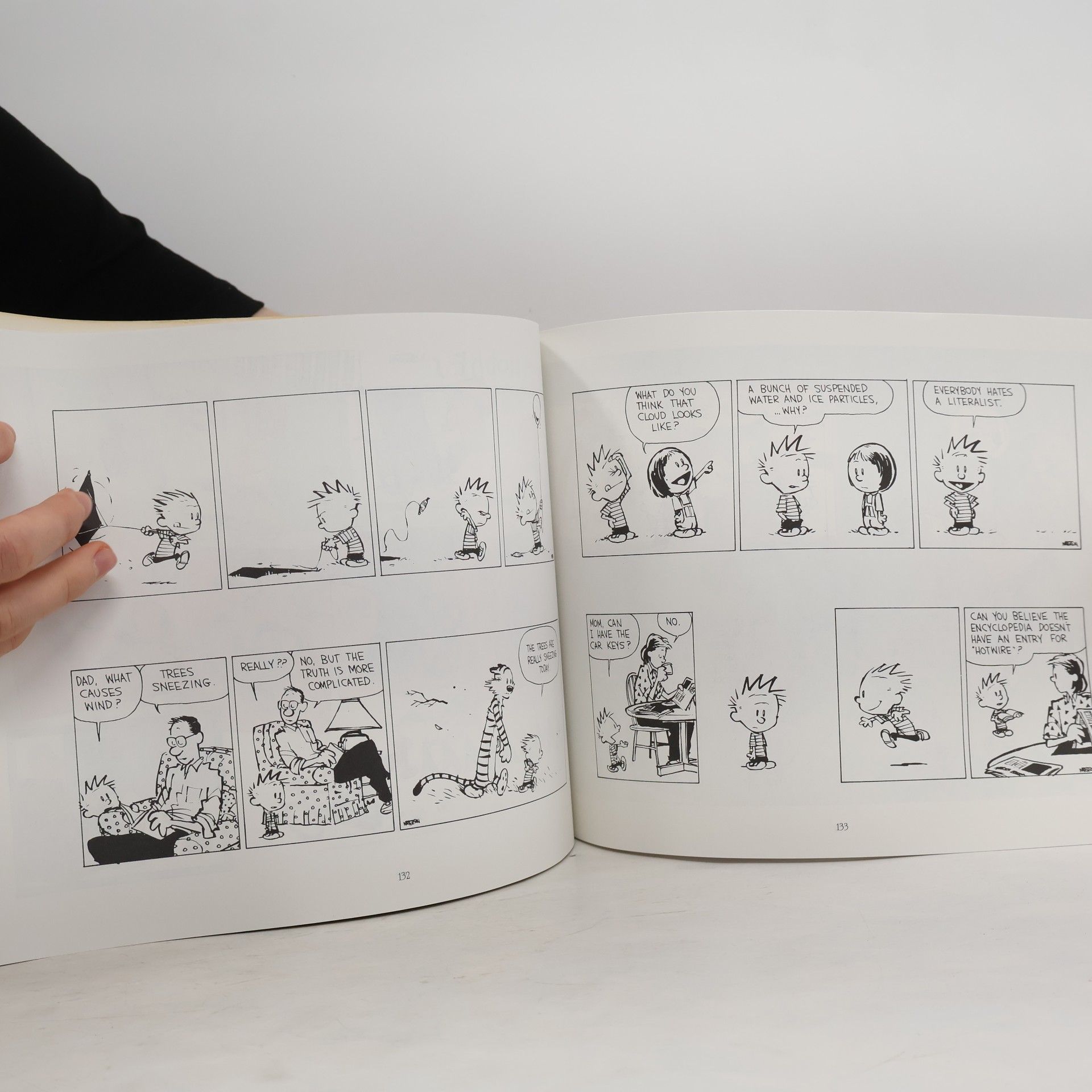 Bill Watterson Homicidal Psycho Jungle Cat