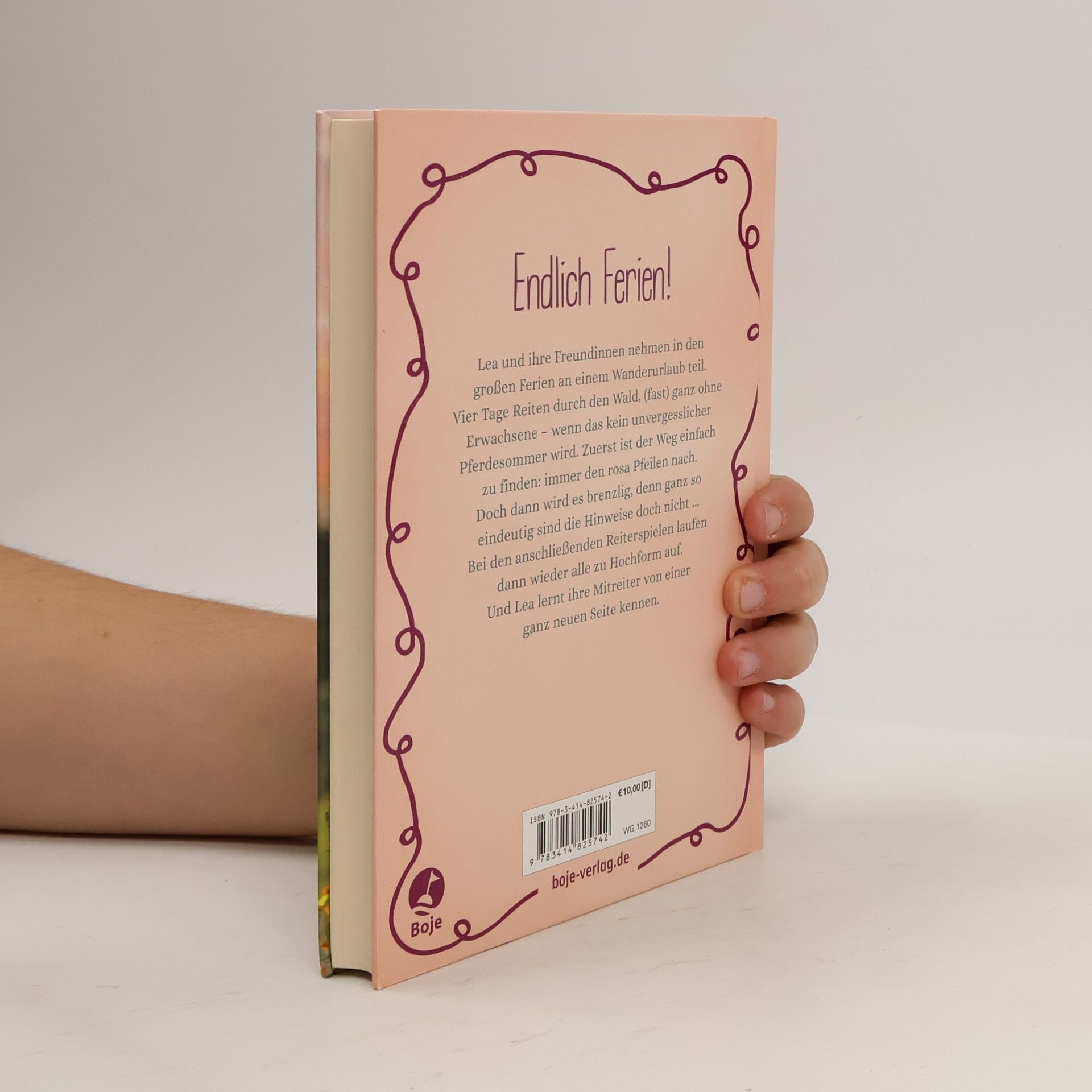 Christiane Gohl Sommer im Sattel / Lea und die Pferde Bd.6
