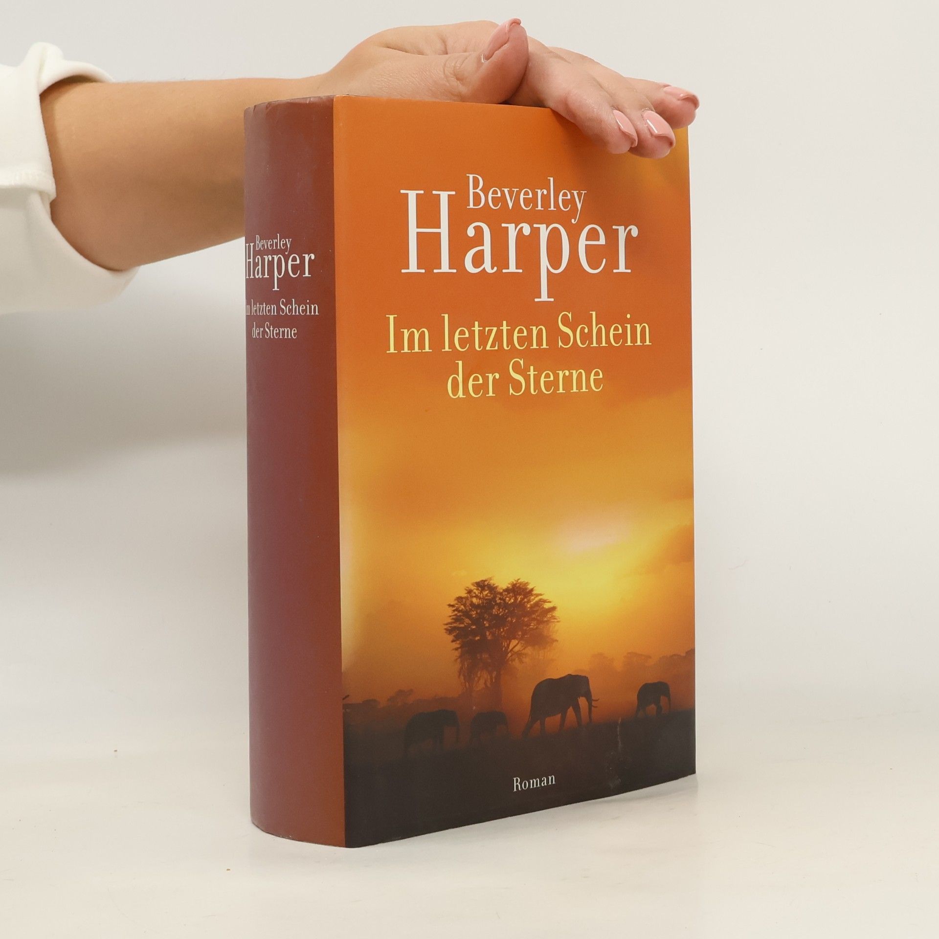 Im letzten Schein der Sterne
