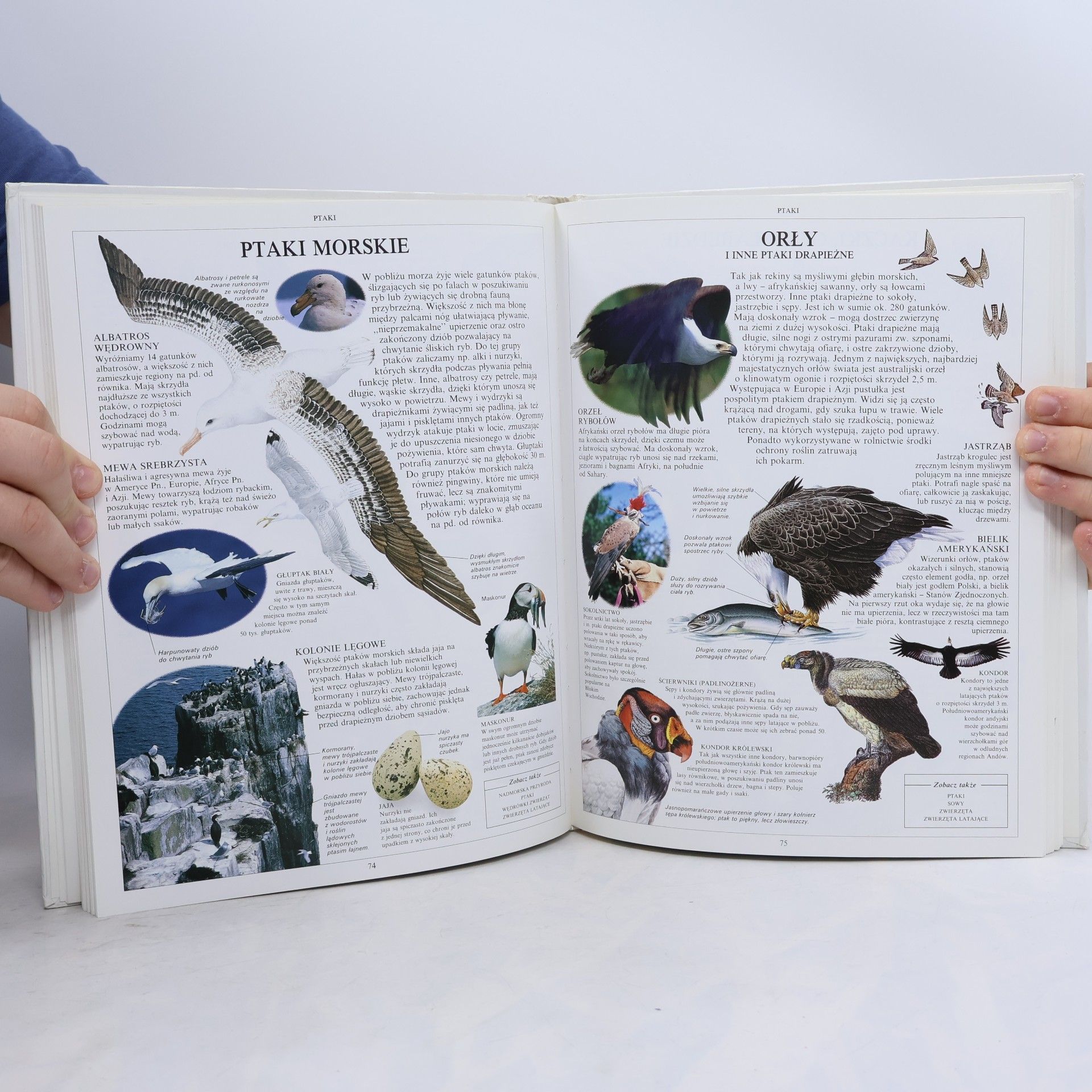 Simon Adams Ilustrowana encyklopedia dla dzieci - 1: Świat przyrody