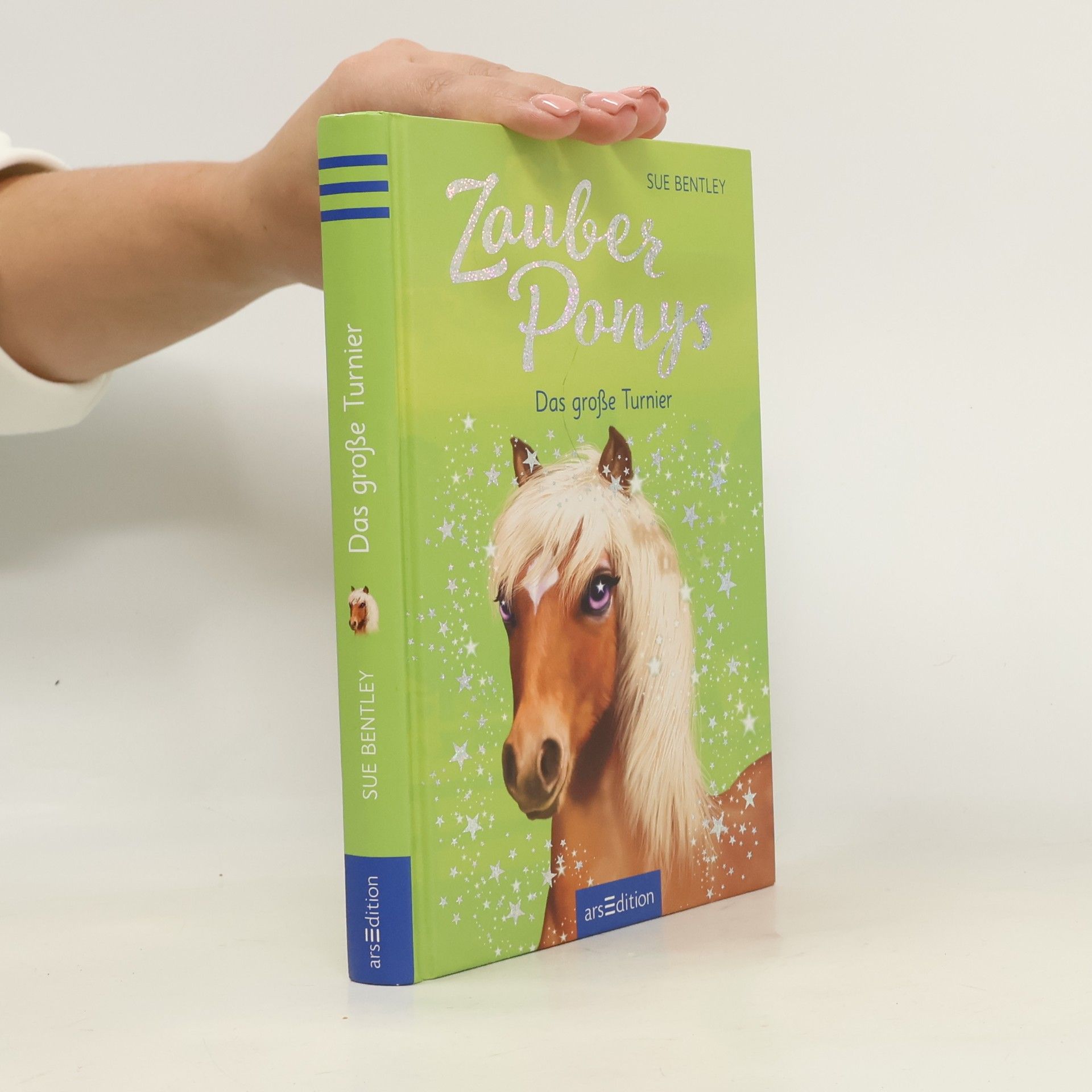 Sue Bentley Zauberponys - das große Turnier
