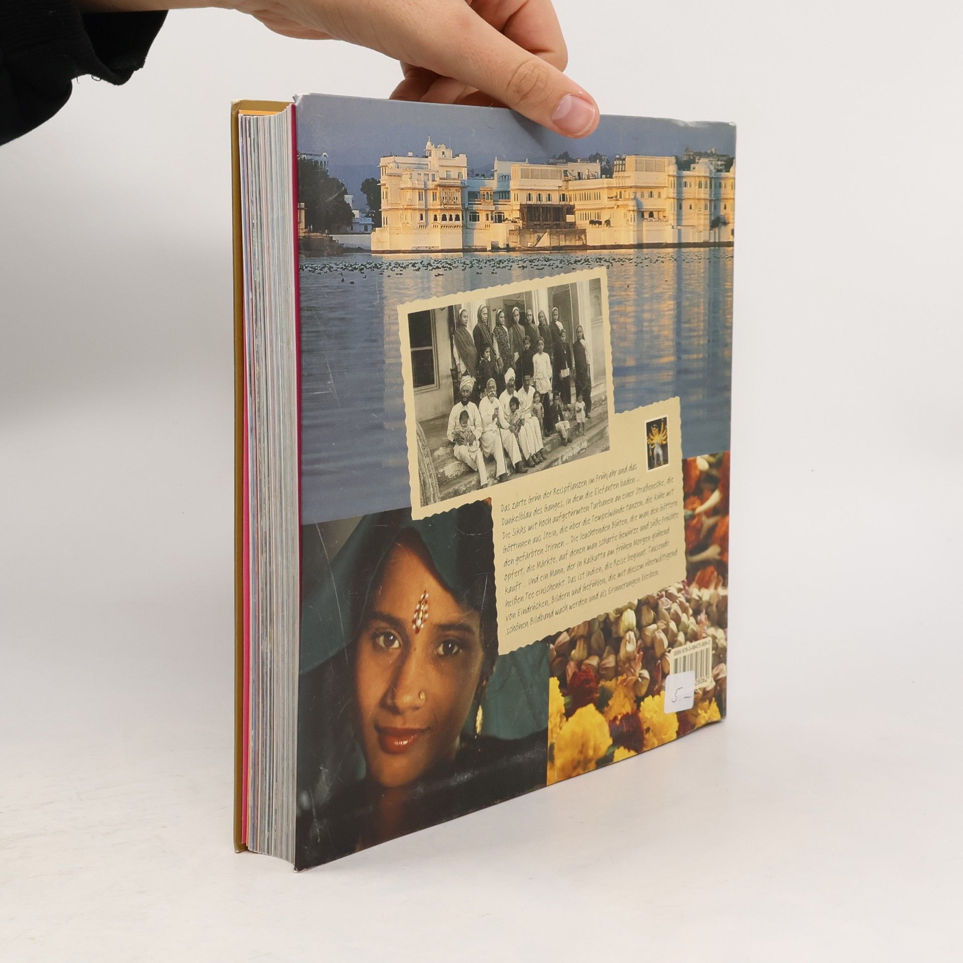 Catherine Bourzat Indien