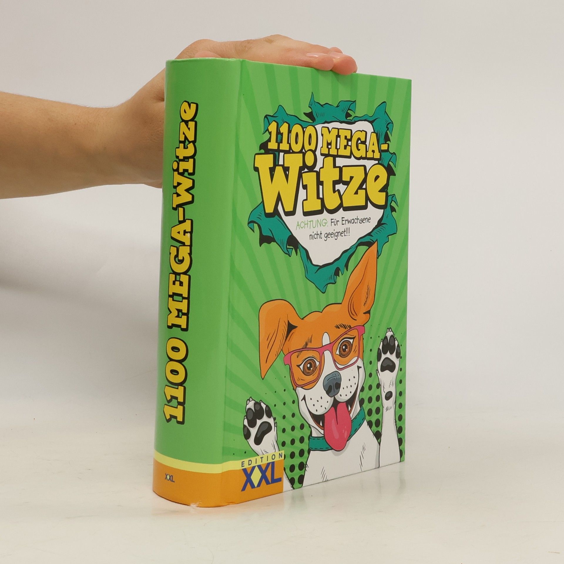 Various authors 1100 Mega-Witze