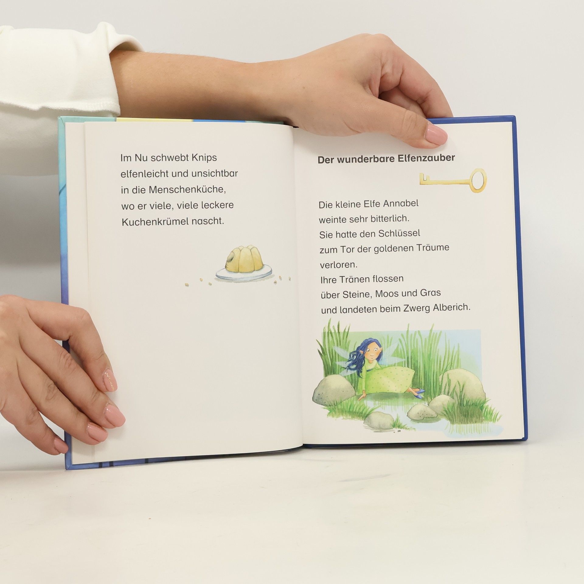 Brigitte Kolloch Lesepiraten - 4: Elfengeschichten