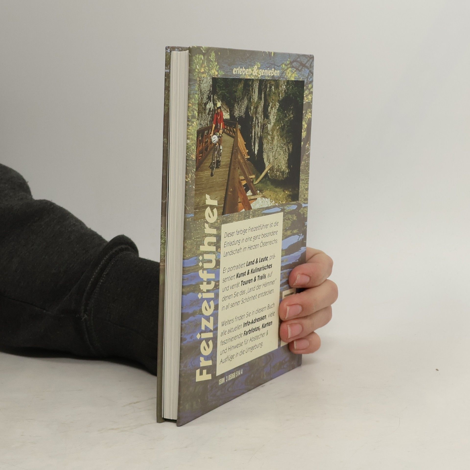 Wolfgang Heitzmann Die Niederösterreichische Eisenstrasse