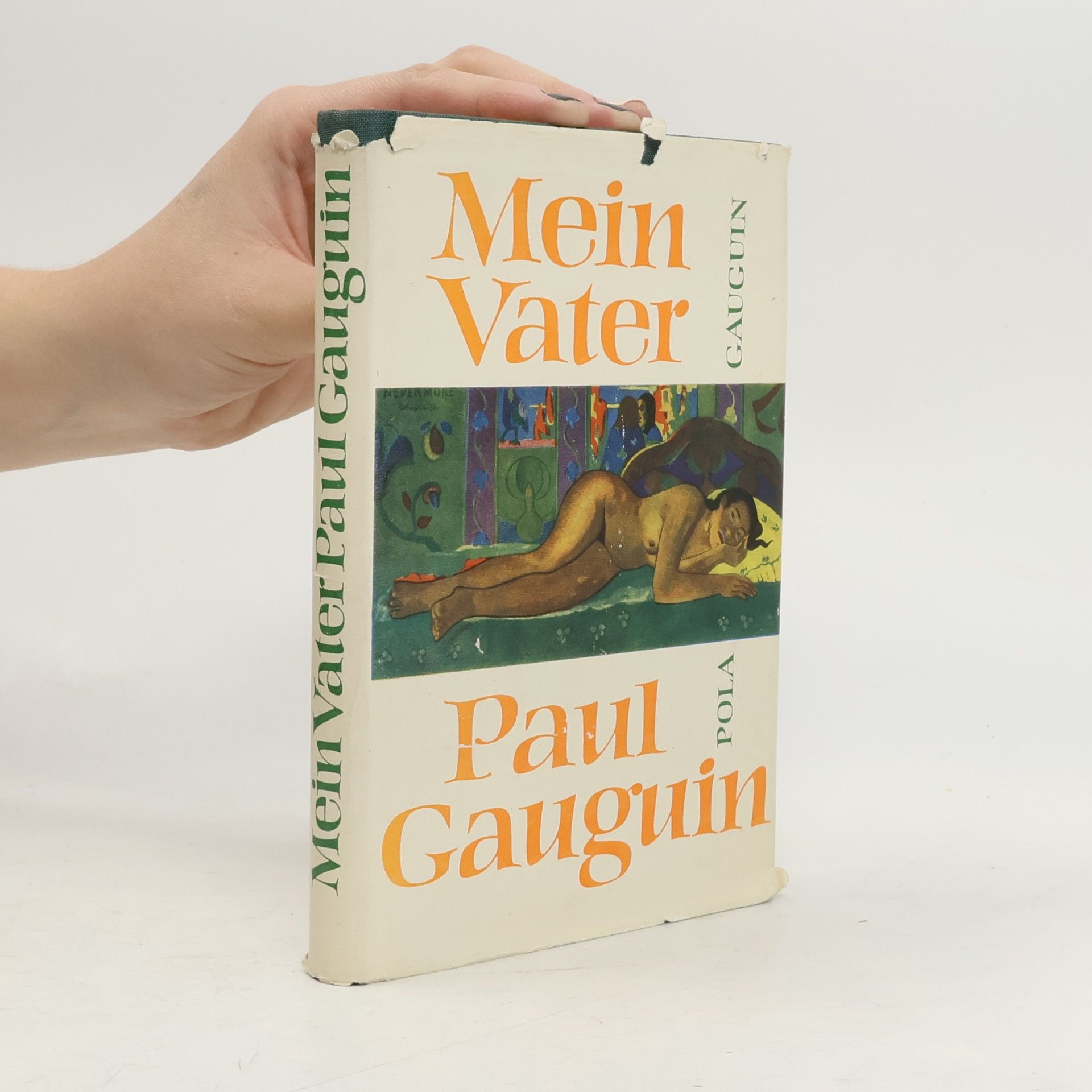 Pola Gauguin Mein Vater Paul Gauguin