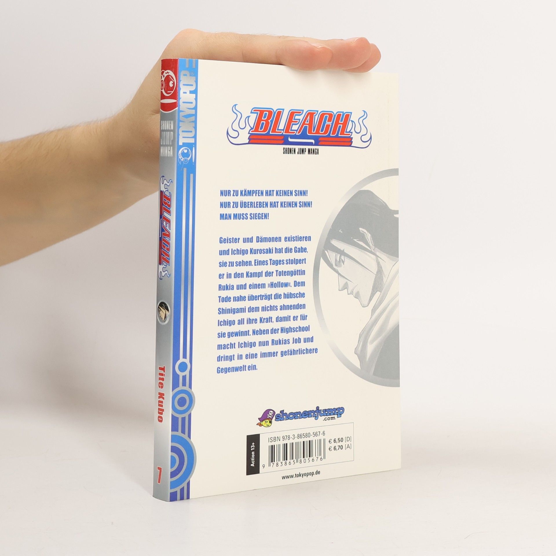 Tite Kubo Bleach - Die unterbrochene Coda