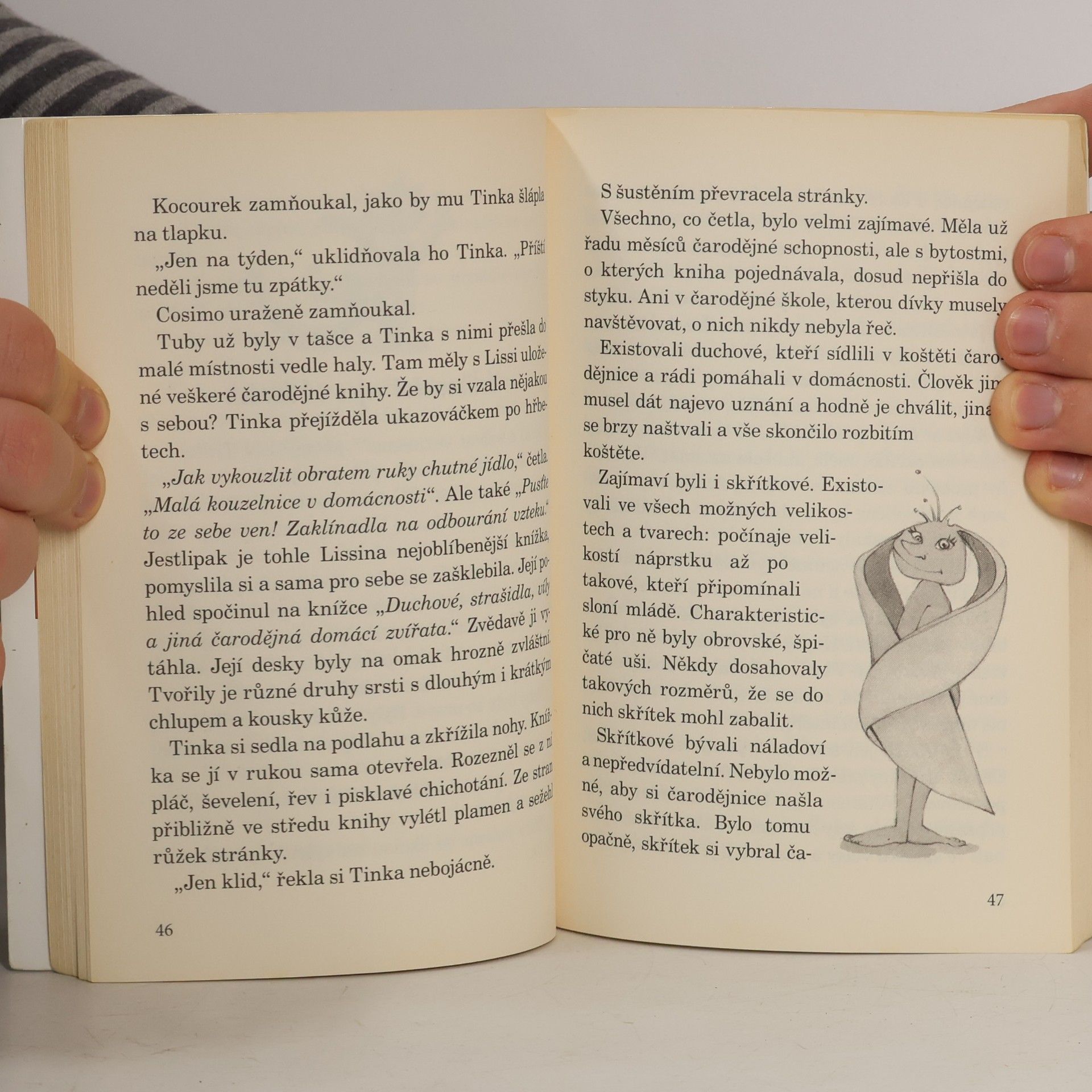 Thomas Brezina Ty kluci jsou fakt šílený!