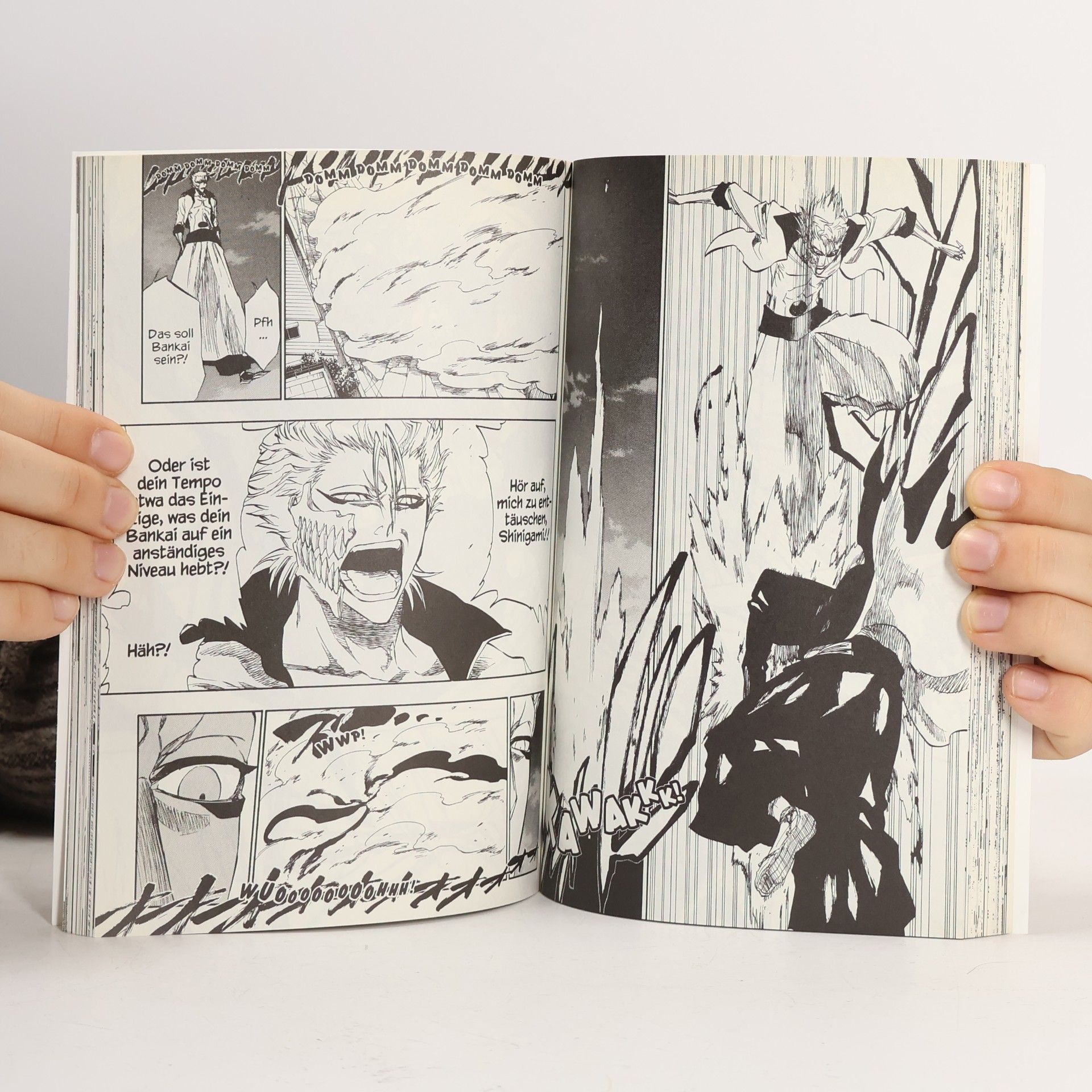 Tite Kubo Bleach 24