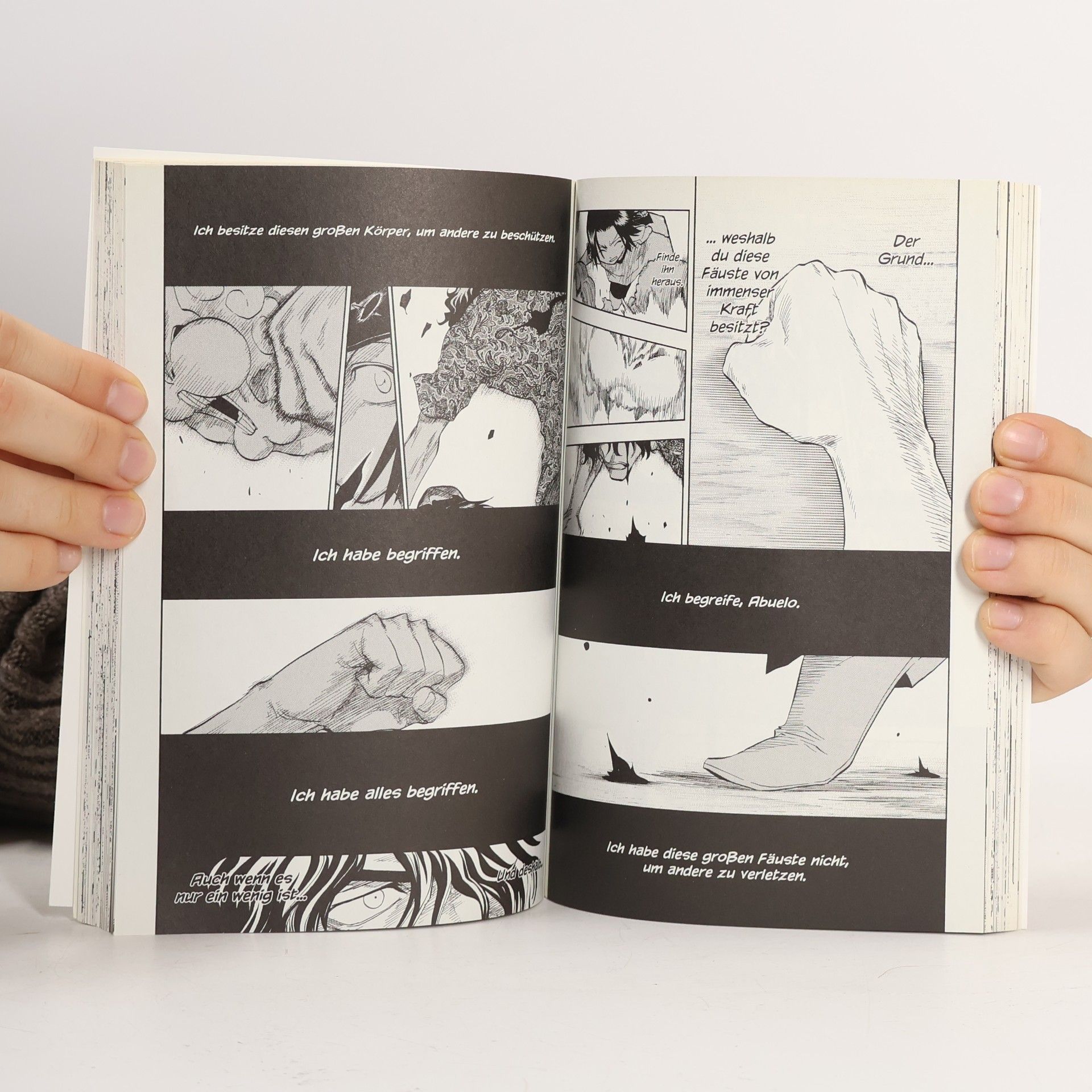 Tite Kubo Bleach - Der rechte Arm des Giganten