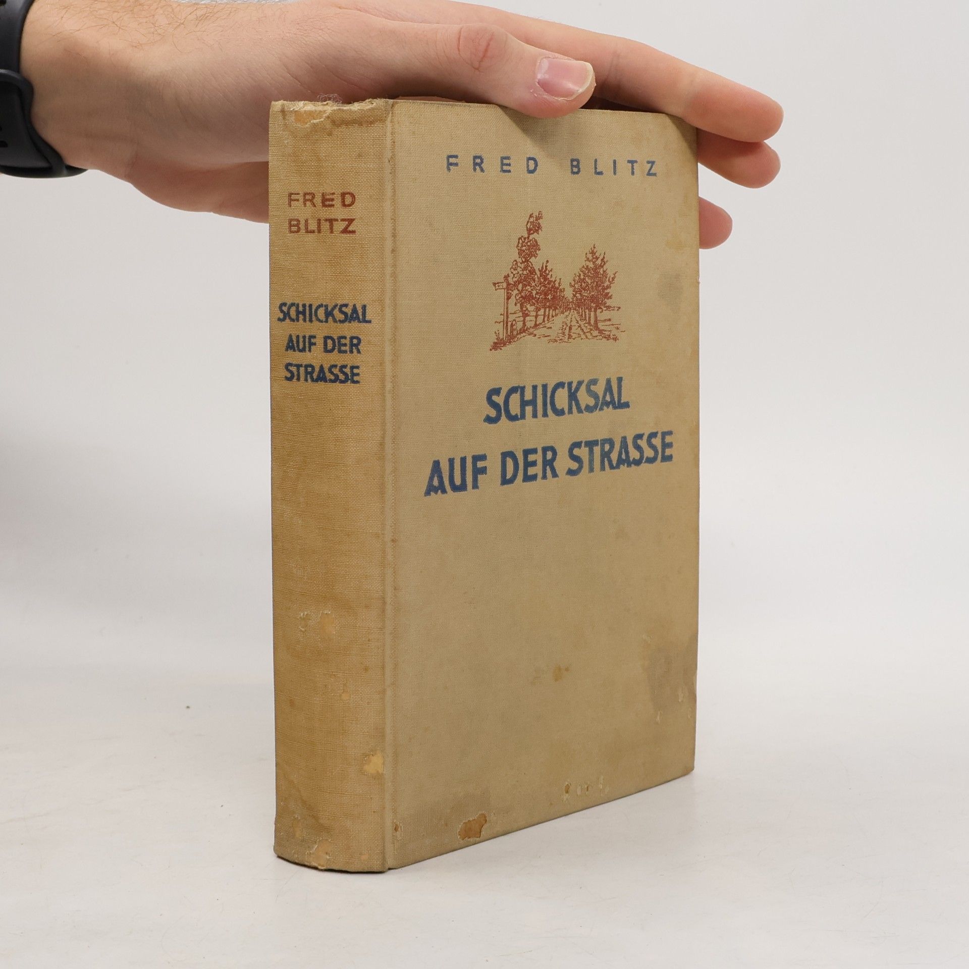 Schicksal auf der Strasse
