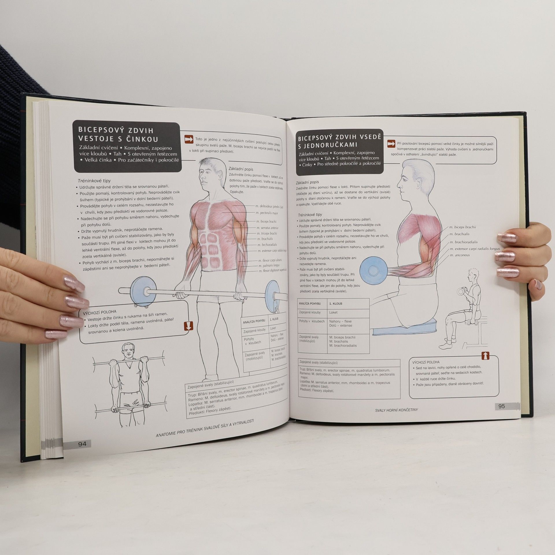 Mark Vella Anatomie pro trénink svalové síly a vytrvalosti