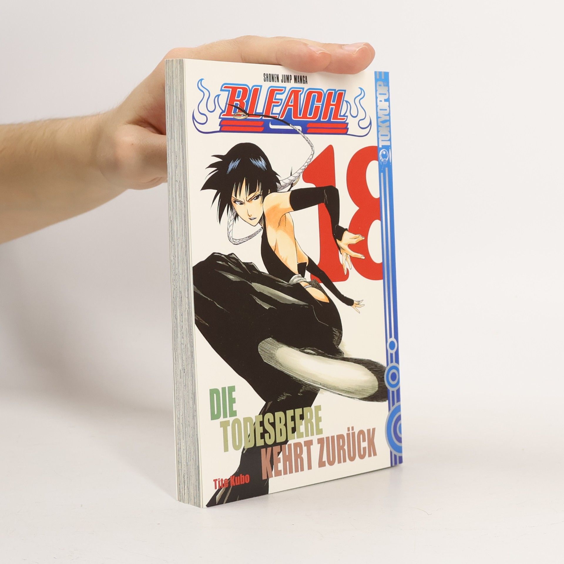Bleach 18