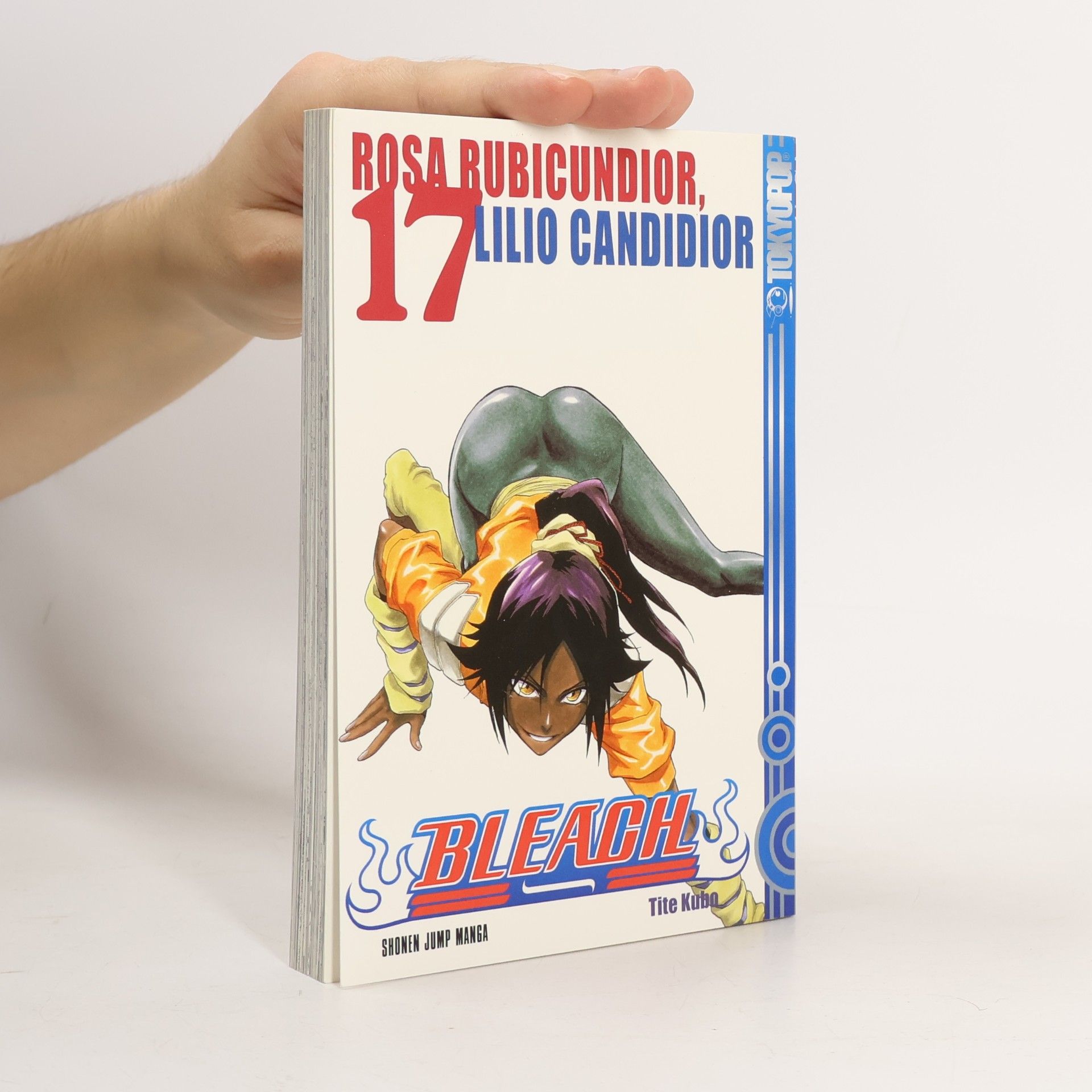 Tite Kubo Bleach 17