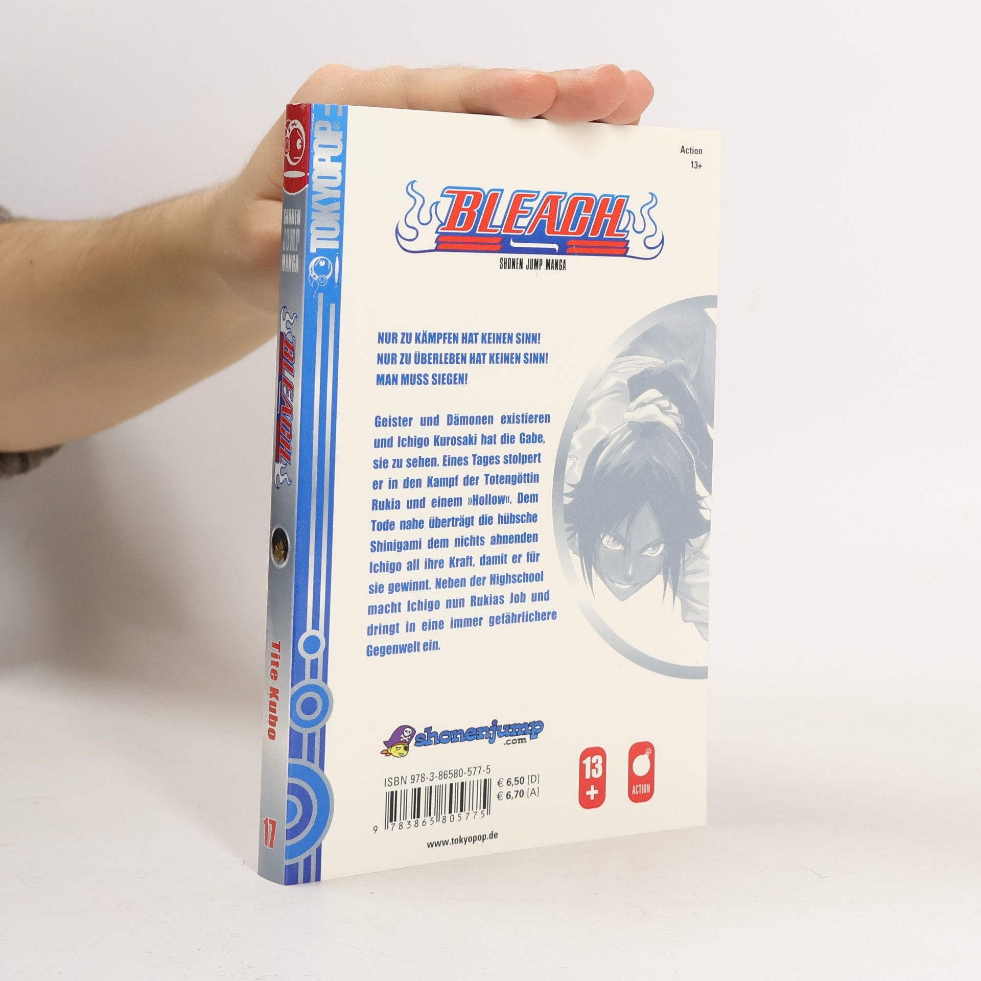 Tite Kubo Bleach 17