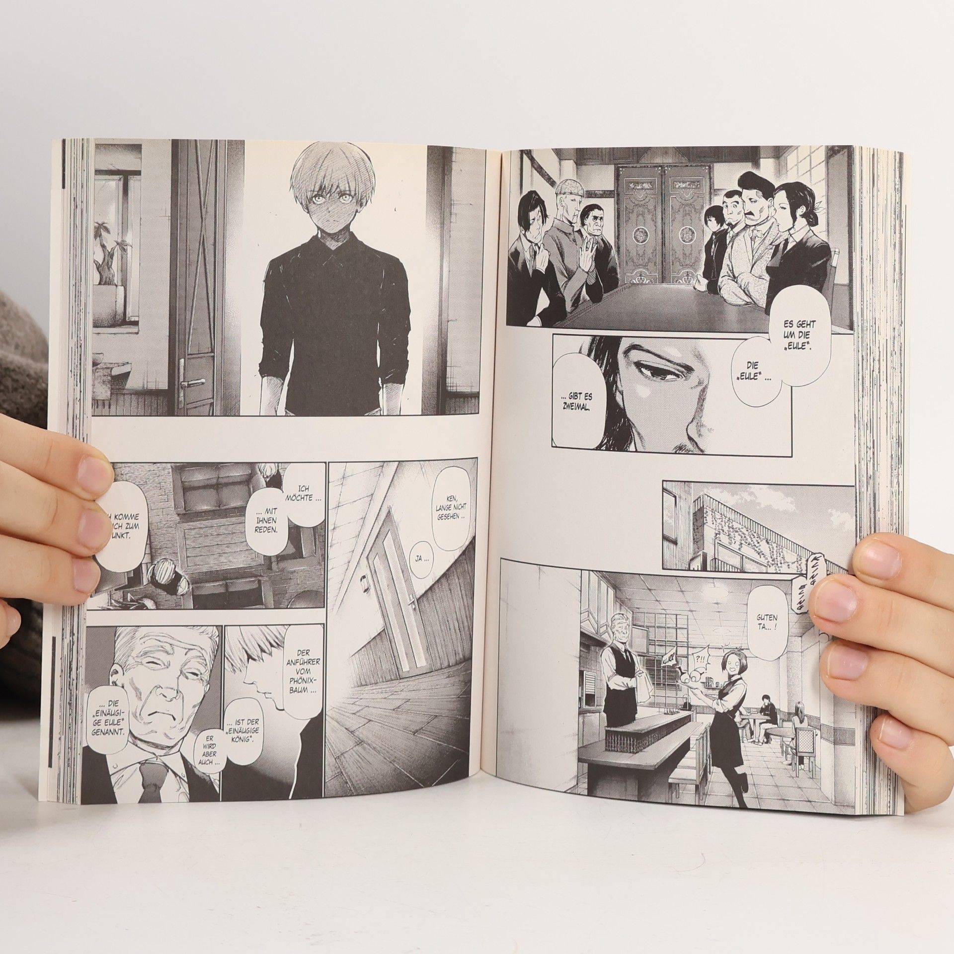 Sui Išida Tokyo Ghoul 12