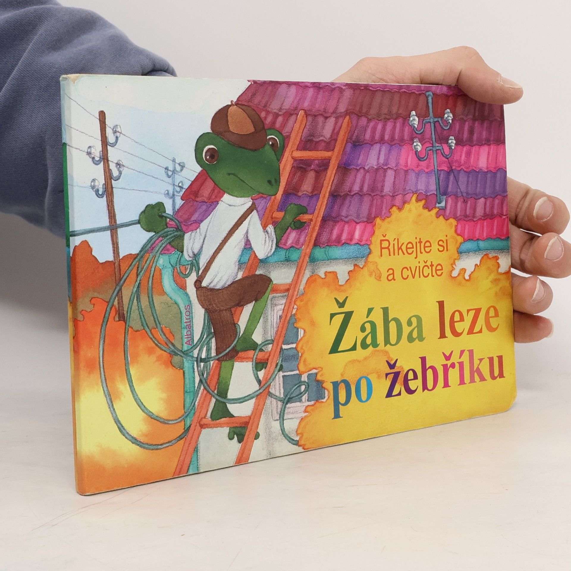 Autorenkollektiv Žába leze po žebříku