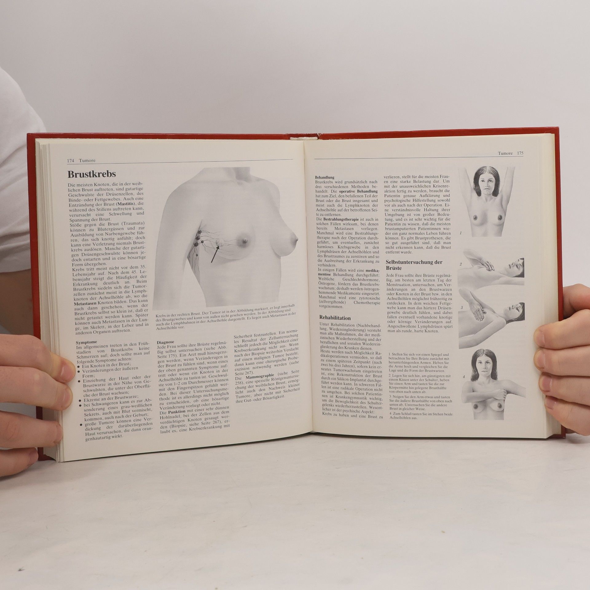 Ulf Nicolausson Das praktische Gesundheitsbuch für die Familie