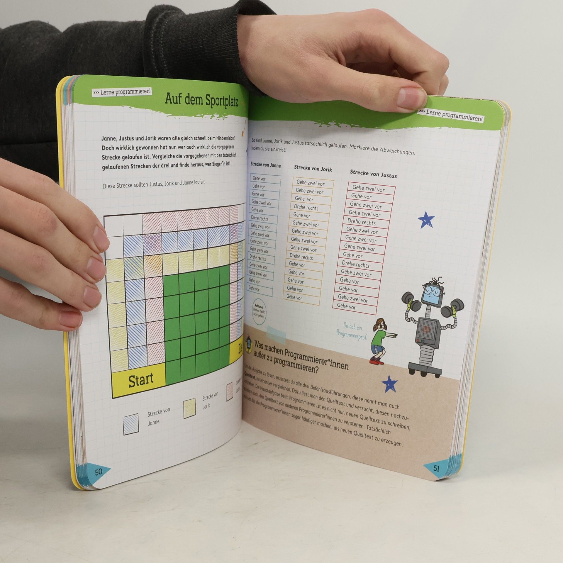 Nicola Berger Das große Informatik-Rätselbuch