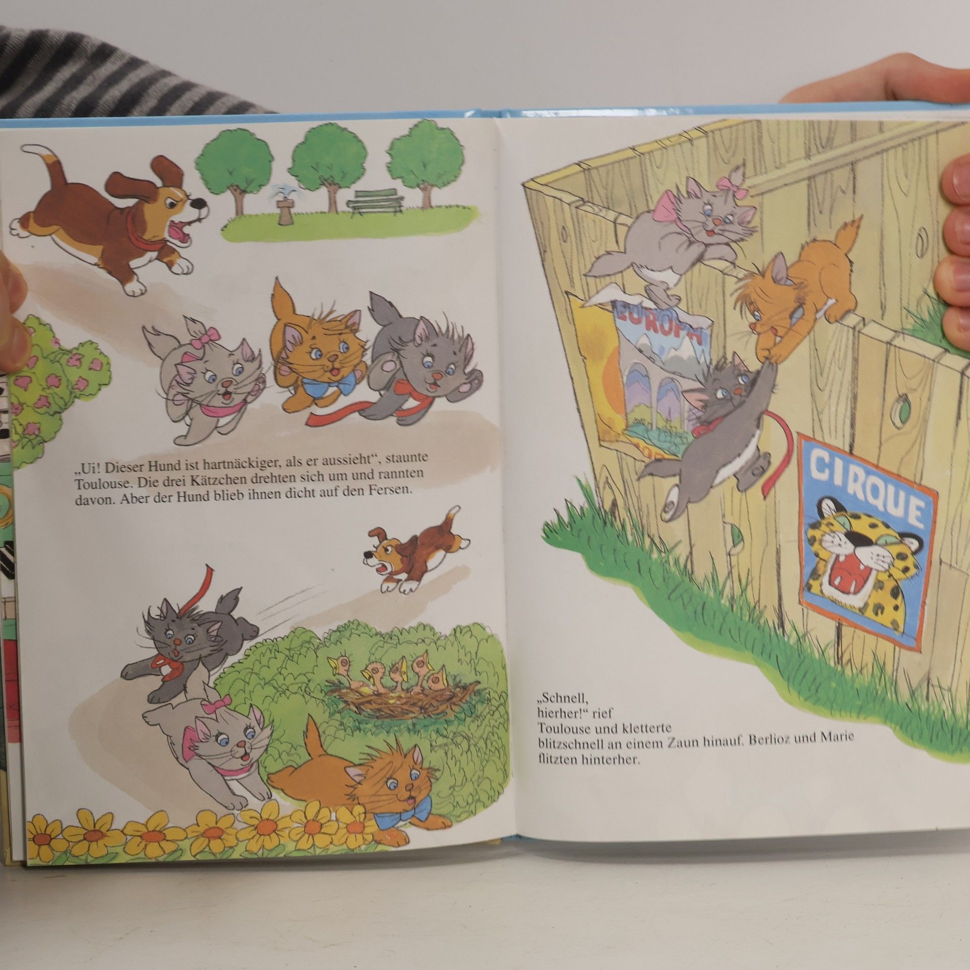 Autorenkollektiv Die Aristocats