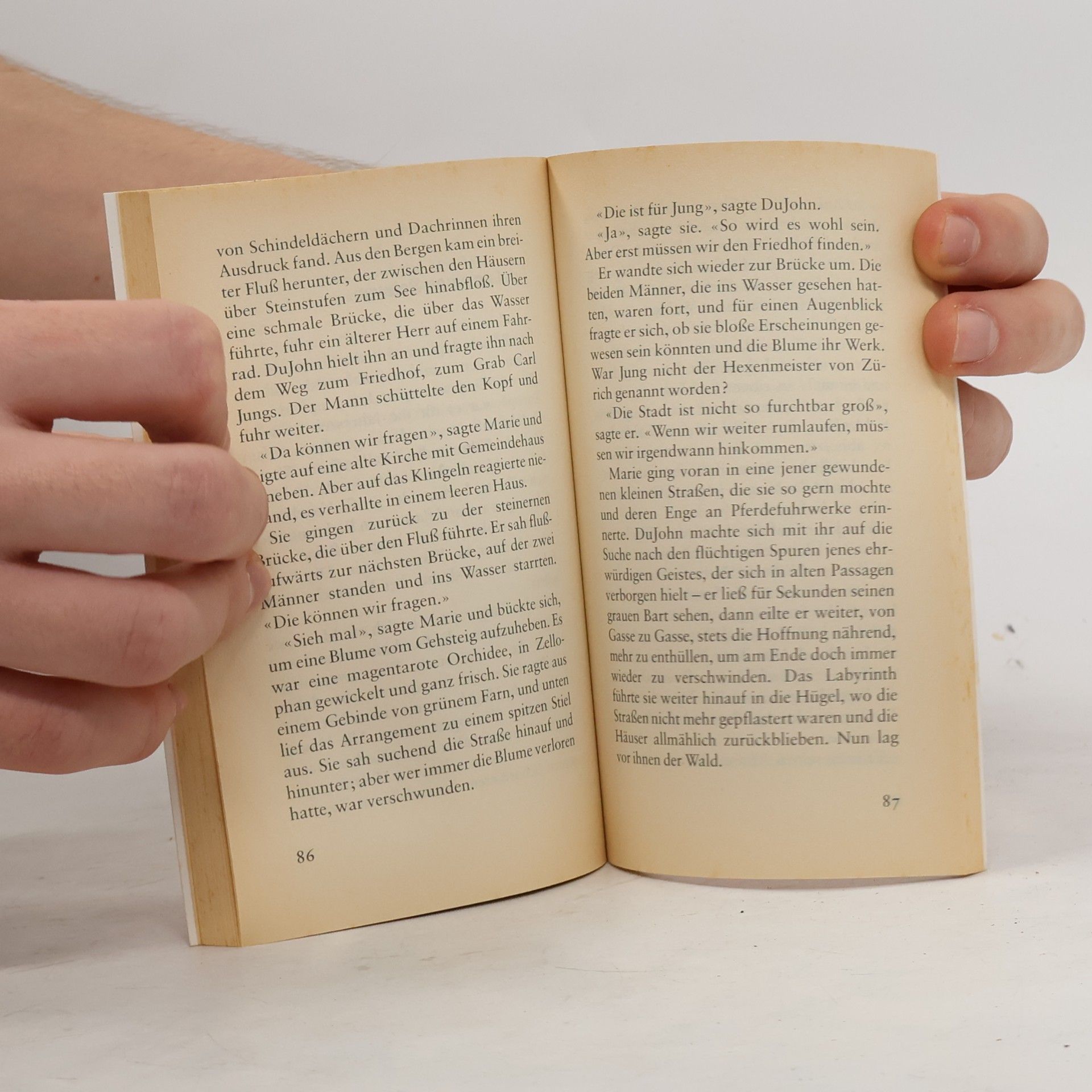 William Kotzwinkle Brief an einen Schwan