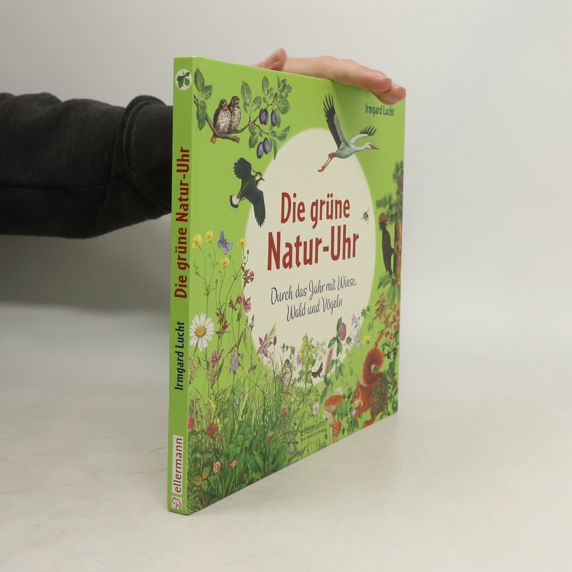 Die Natur-Uhren: Die grüne Natur-Uhr