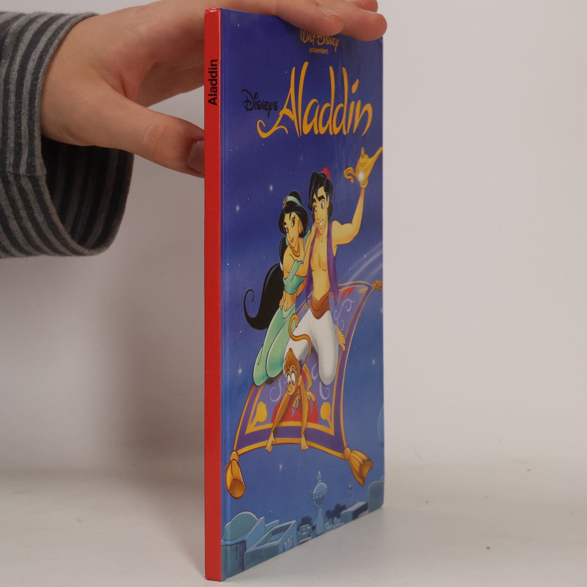 Kolektiv autorů Aladdin