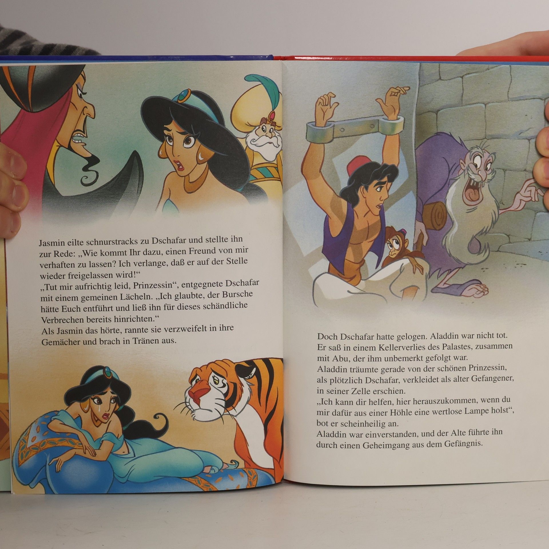 Kolektiv autorů Aladdin
