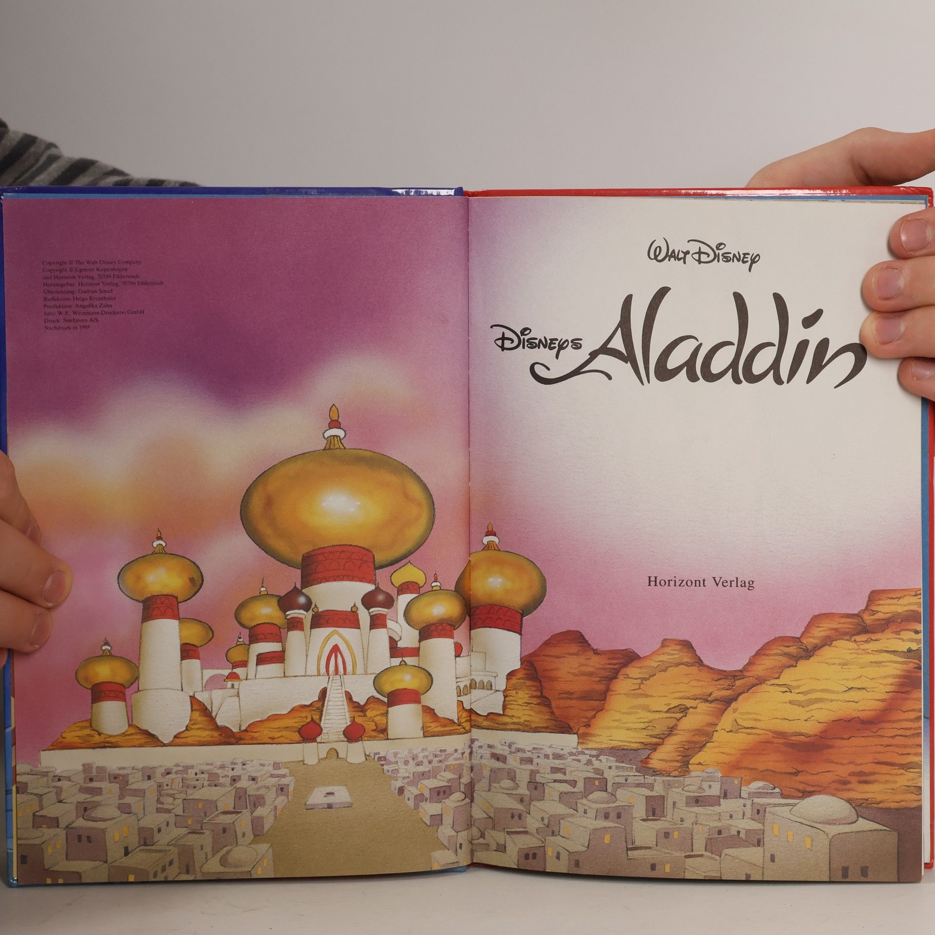 Kolektiv autorů Aladdin
