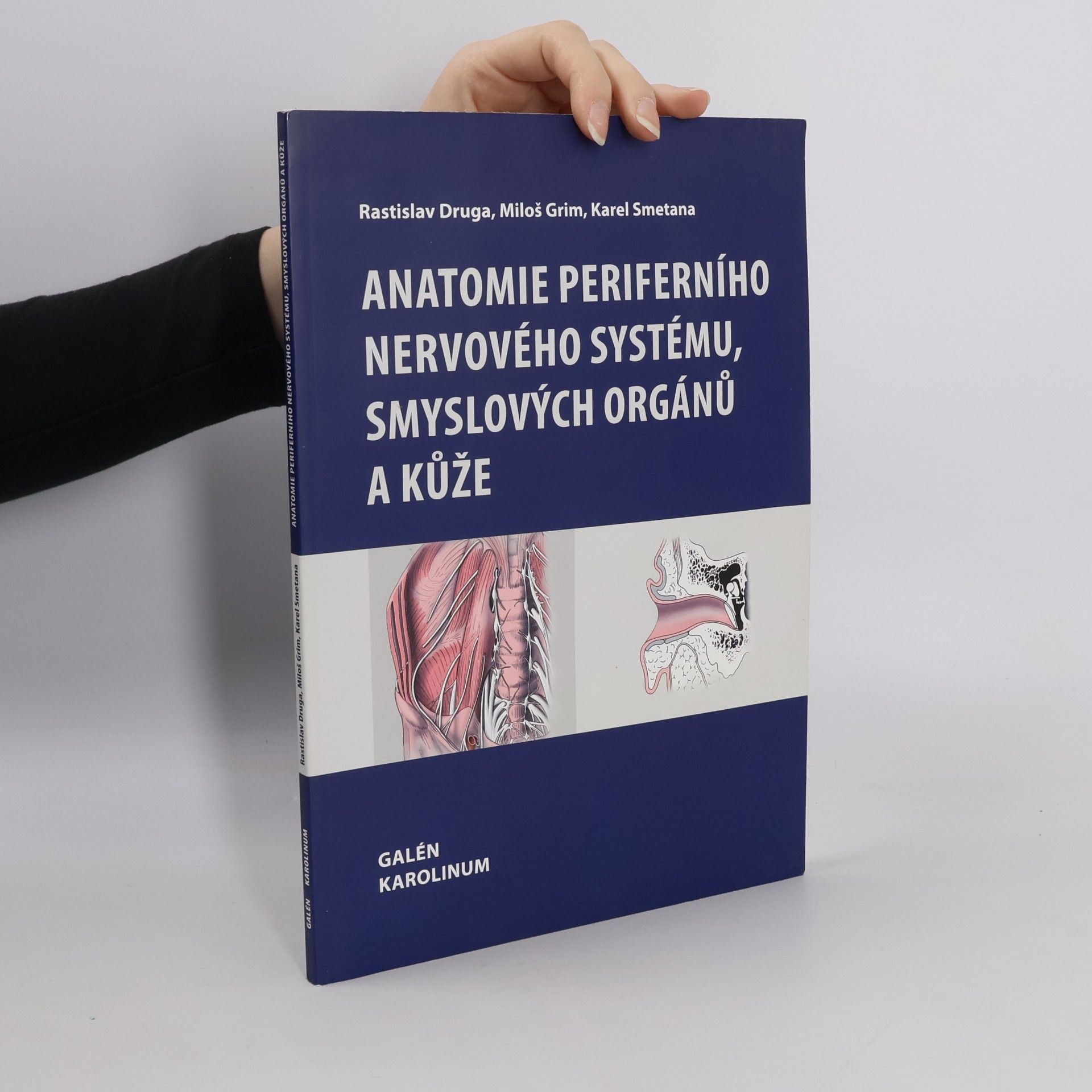 Anatomie periferního nervového systému, smyslových orgánů a kůže