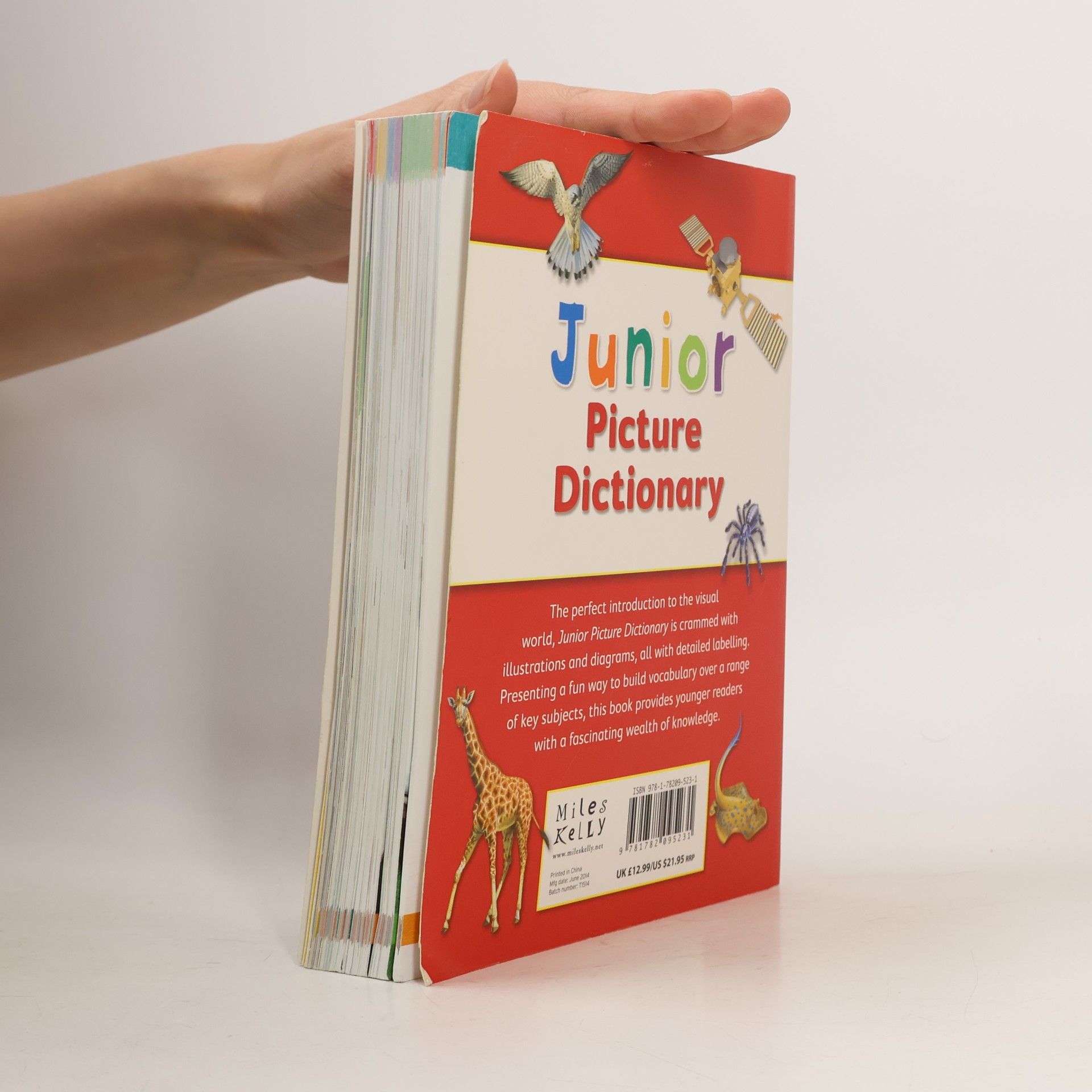 Autores varios Junior Picture Dictionary