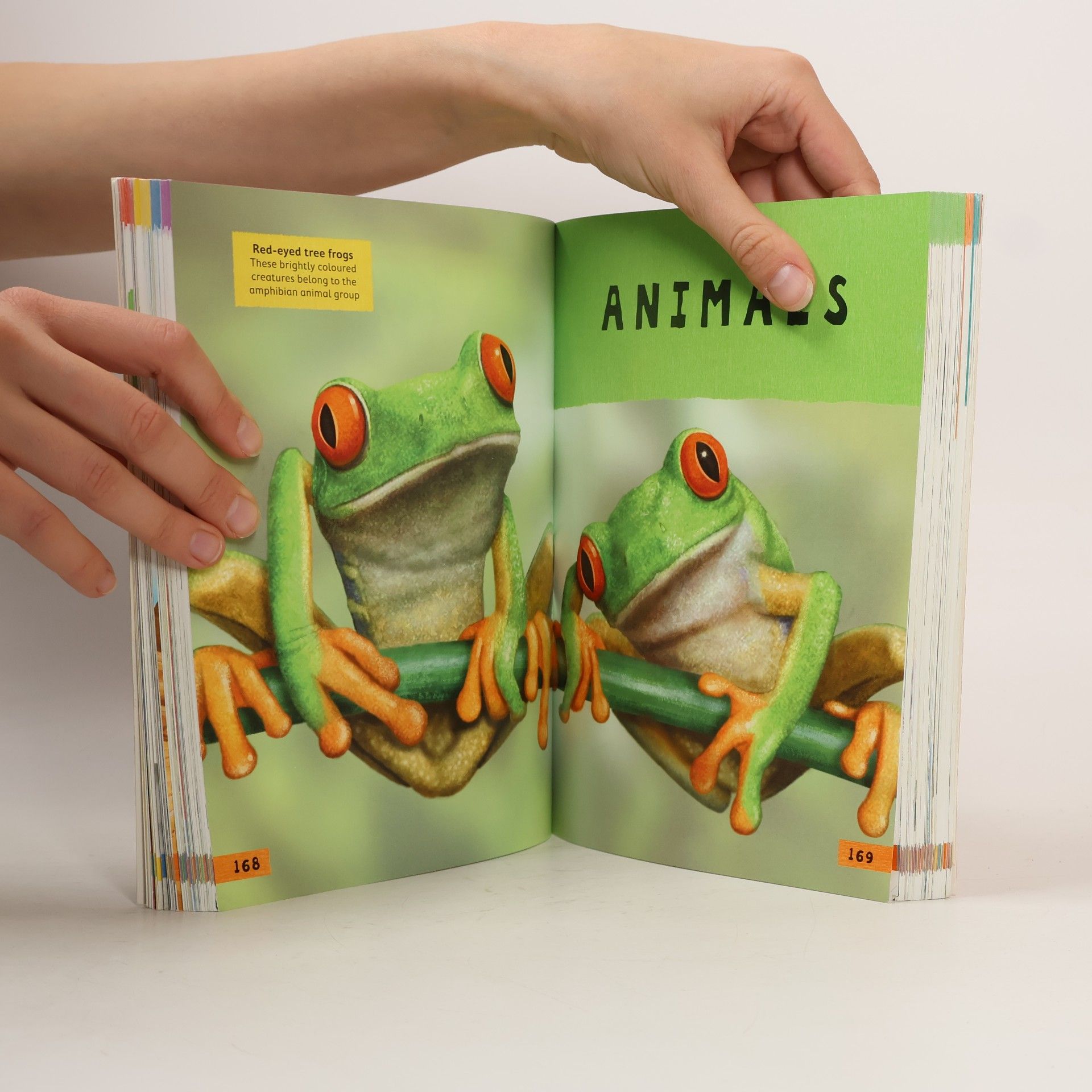 Autores varios Junior Picture Dictionary