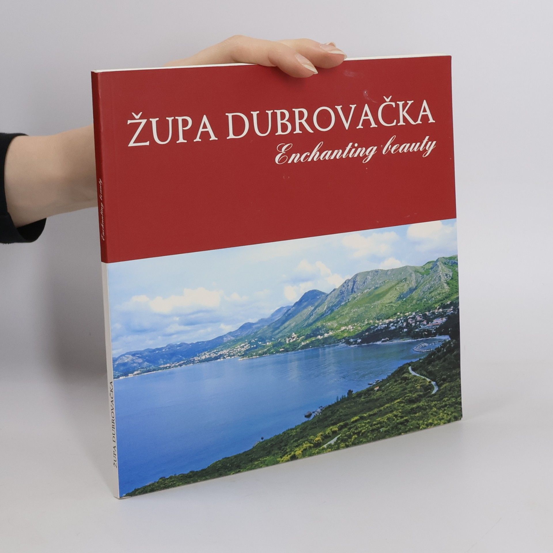 Župa dubrovačka