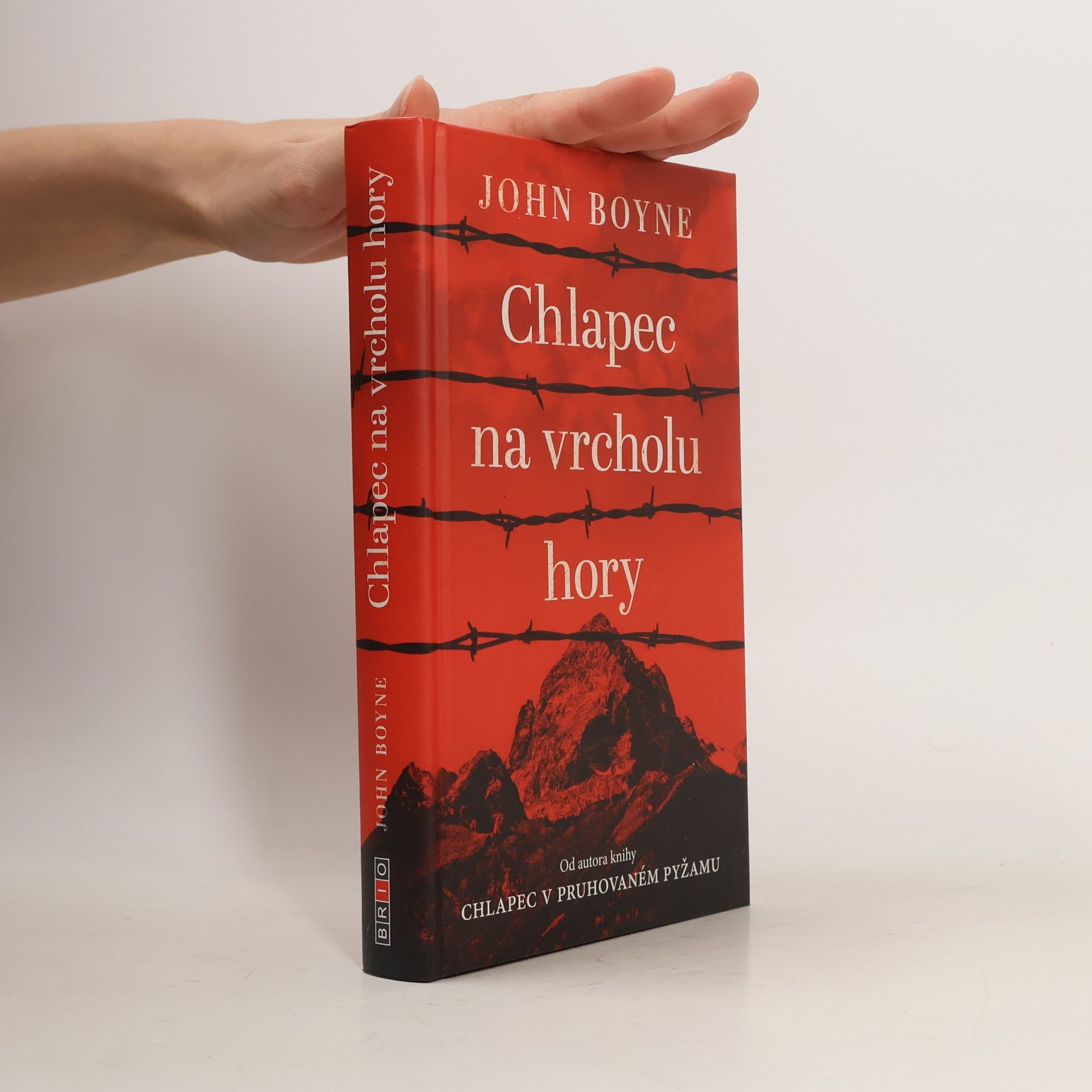 John Boyne Chlapec na vrcholu hory