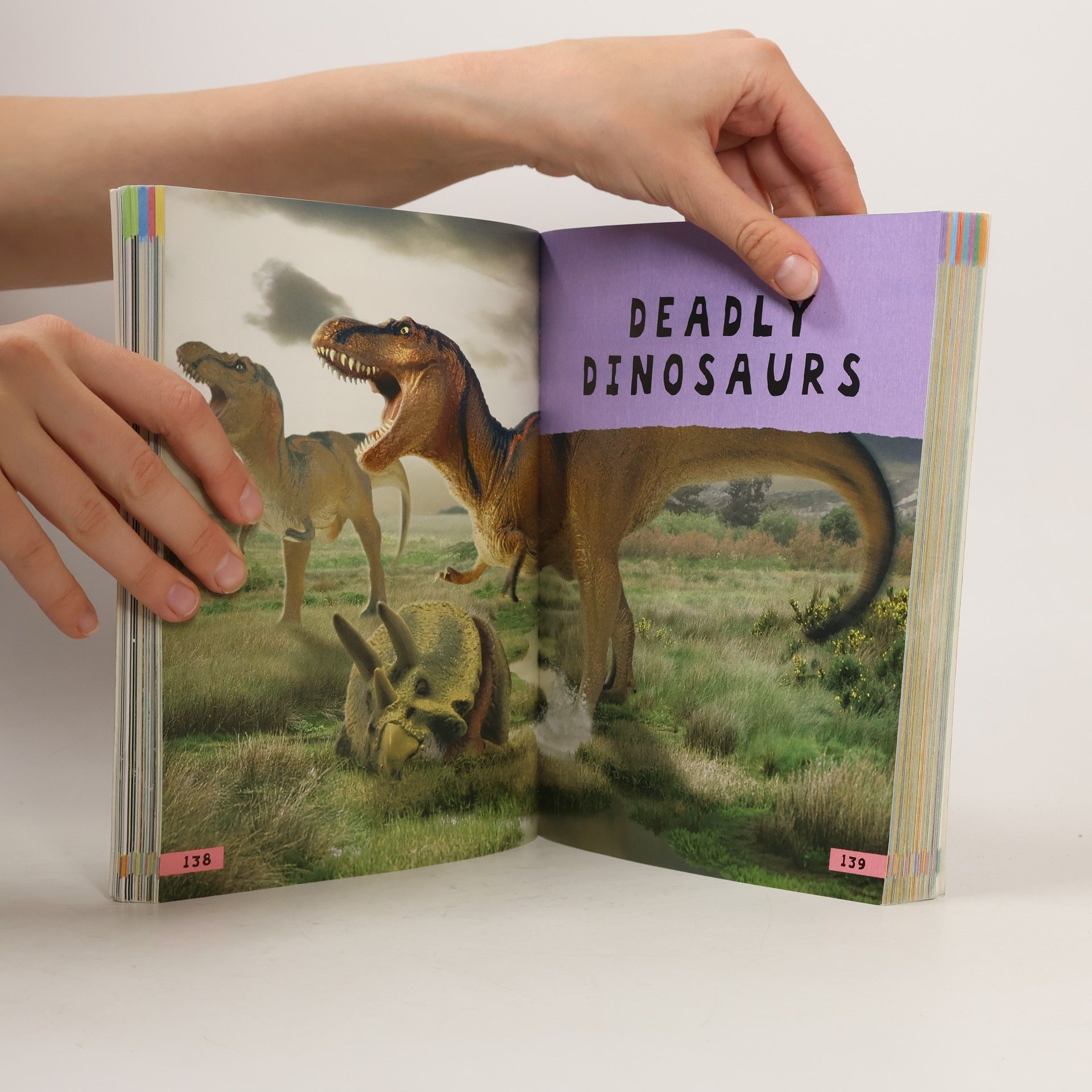MILES KELLY PUBLISHING Junior Encyclopedia