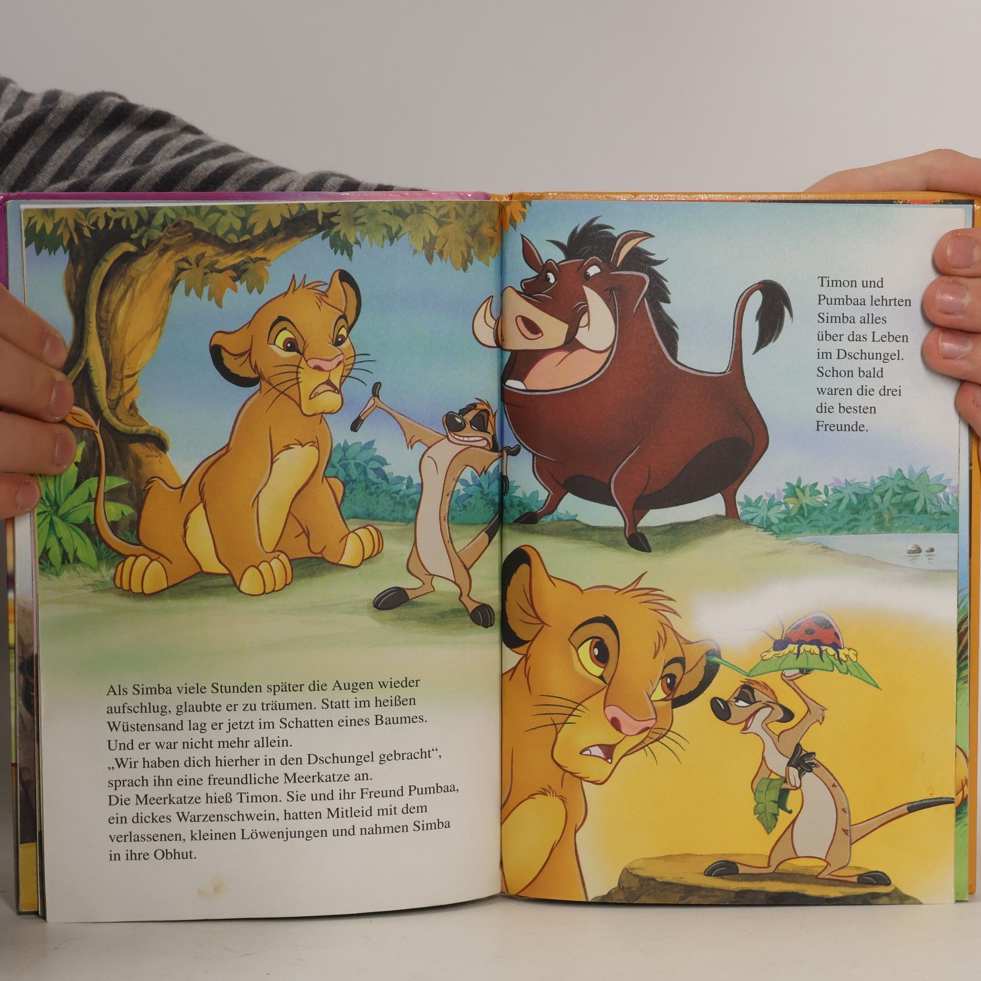 Walt Disney Der König der Löwen